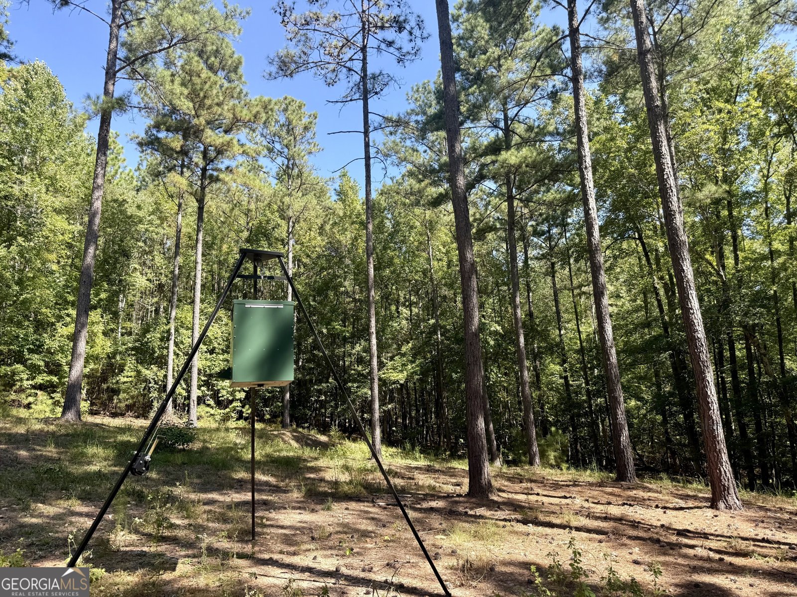 849 Orchard Road Pine Mountain Valley - 44