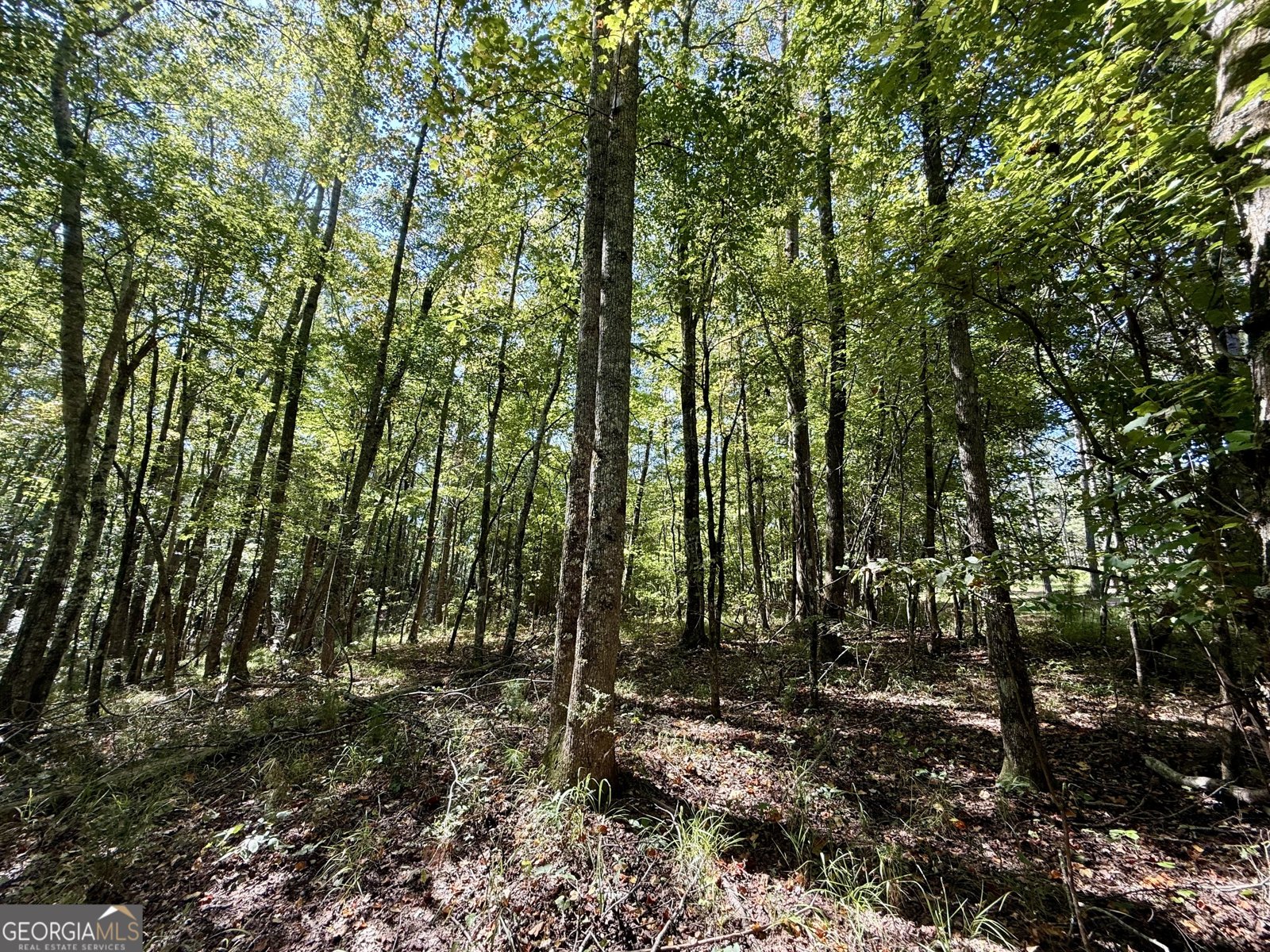 849 Orchard Road Pine Mountain Valley - 45