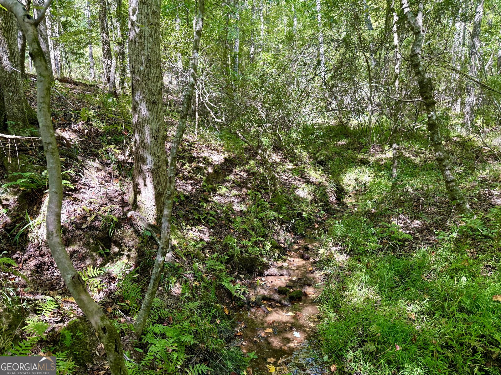 849 Orchard Road Pine Mountain Valley - 46