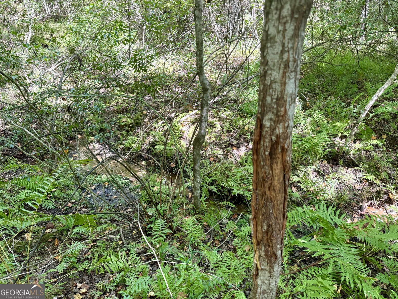 849 Orchard Road Pine Mountain Valley - 47