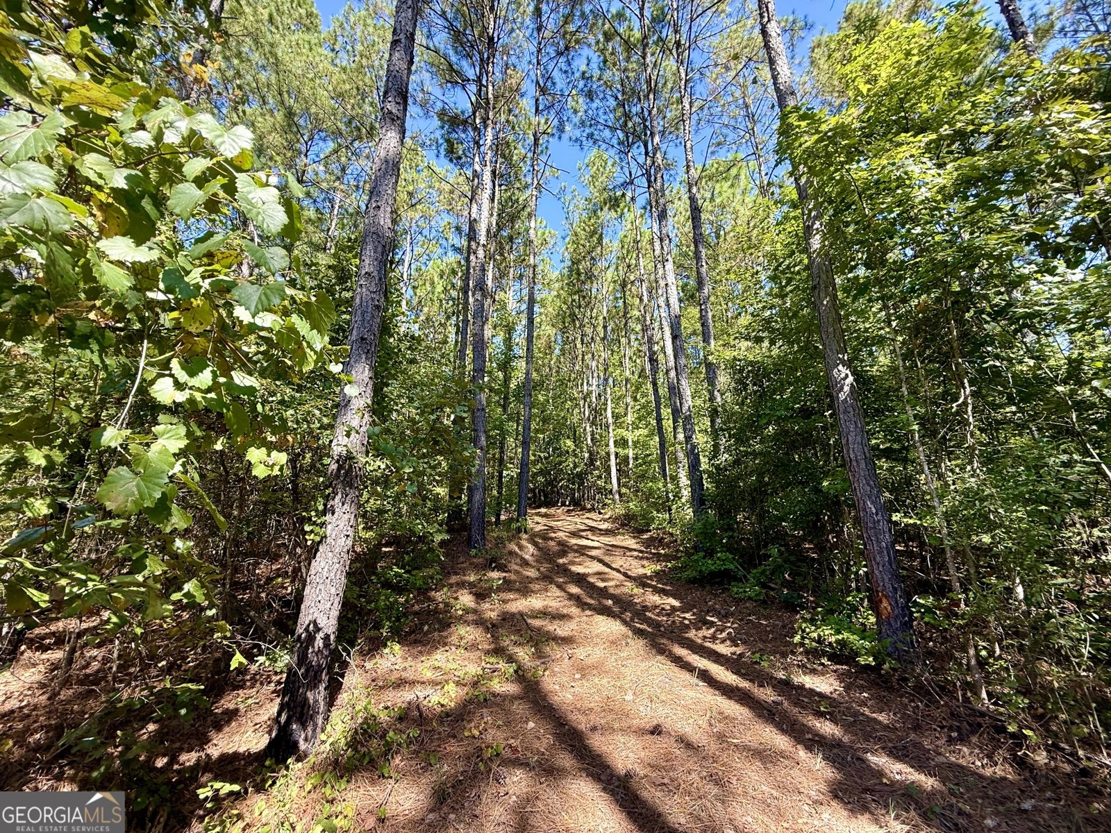 849 Orchard Road Pine Mountain Valley - 48