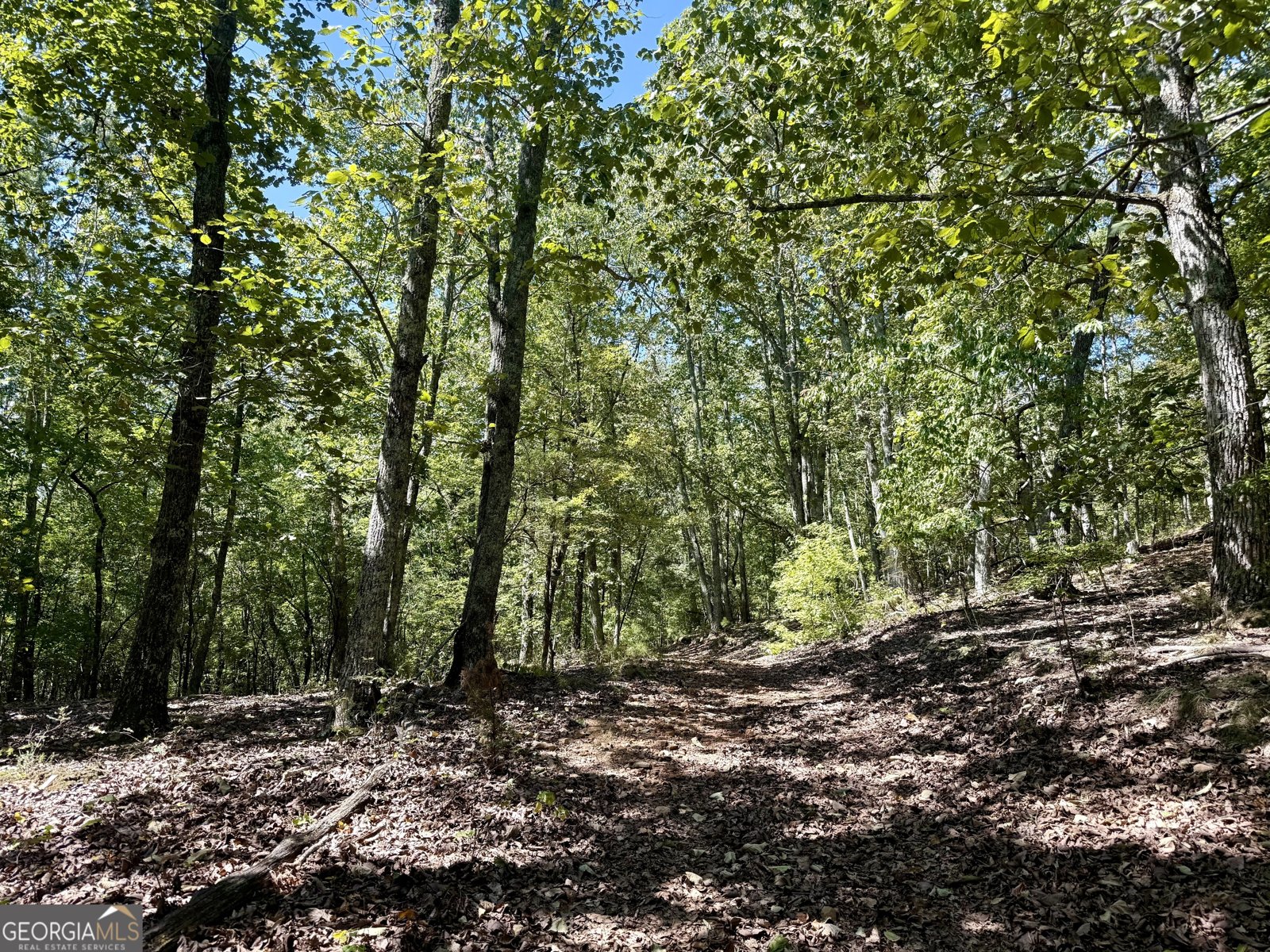 849 Orchard Road Pine Mountain Valley - 51