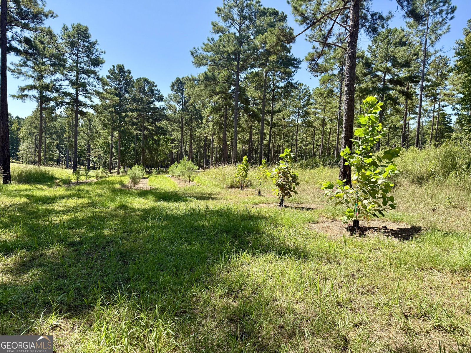 849 Orchard Road Pine Mountain Valley - 52