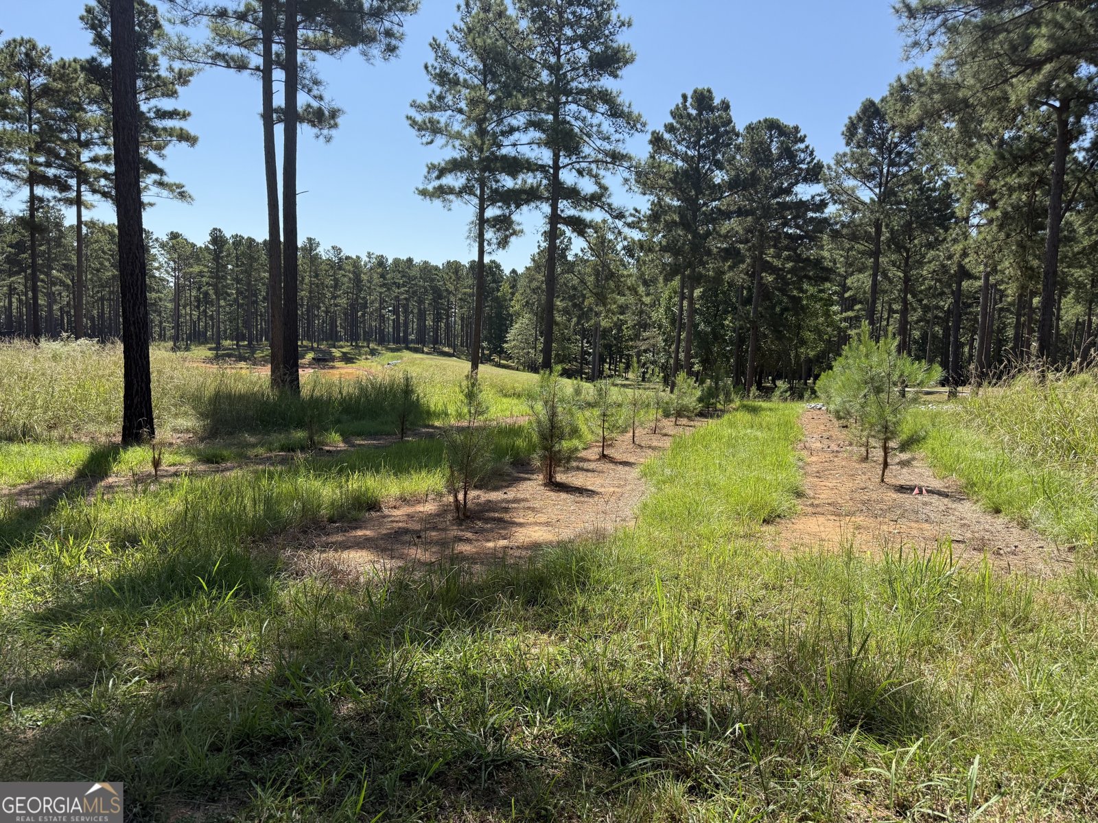 849 Orchard Road Pine Mountain Valley - 53