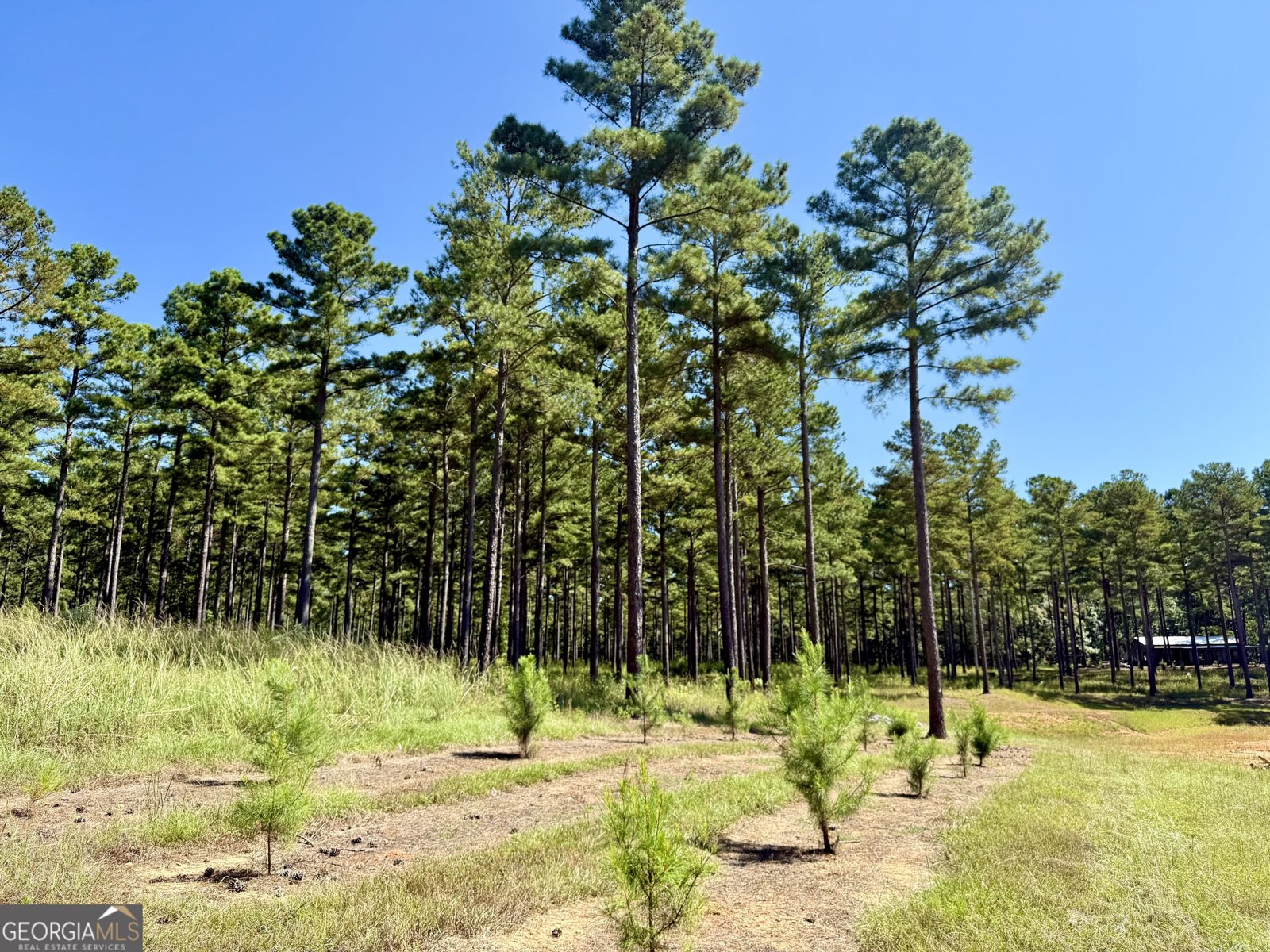 849 Orchard Road Pine Mountain Valley - 54