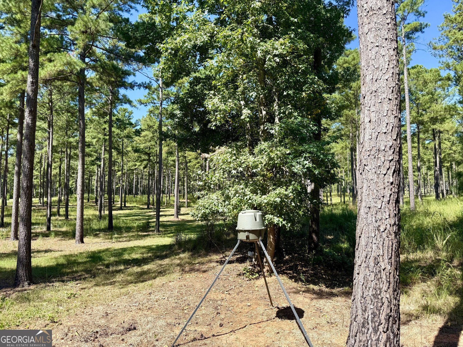 849 Orchard Road Pine Mountain Valley - 57