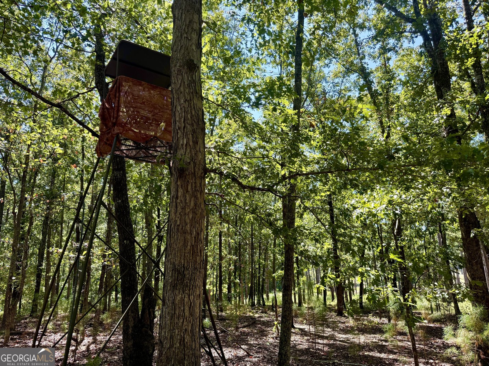 849 Orchard Road Pine Mountain Valley - 58