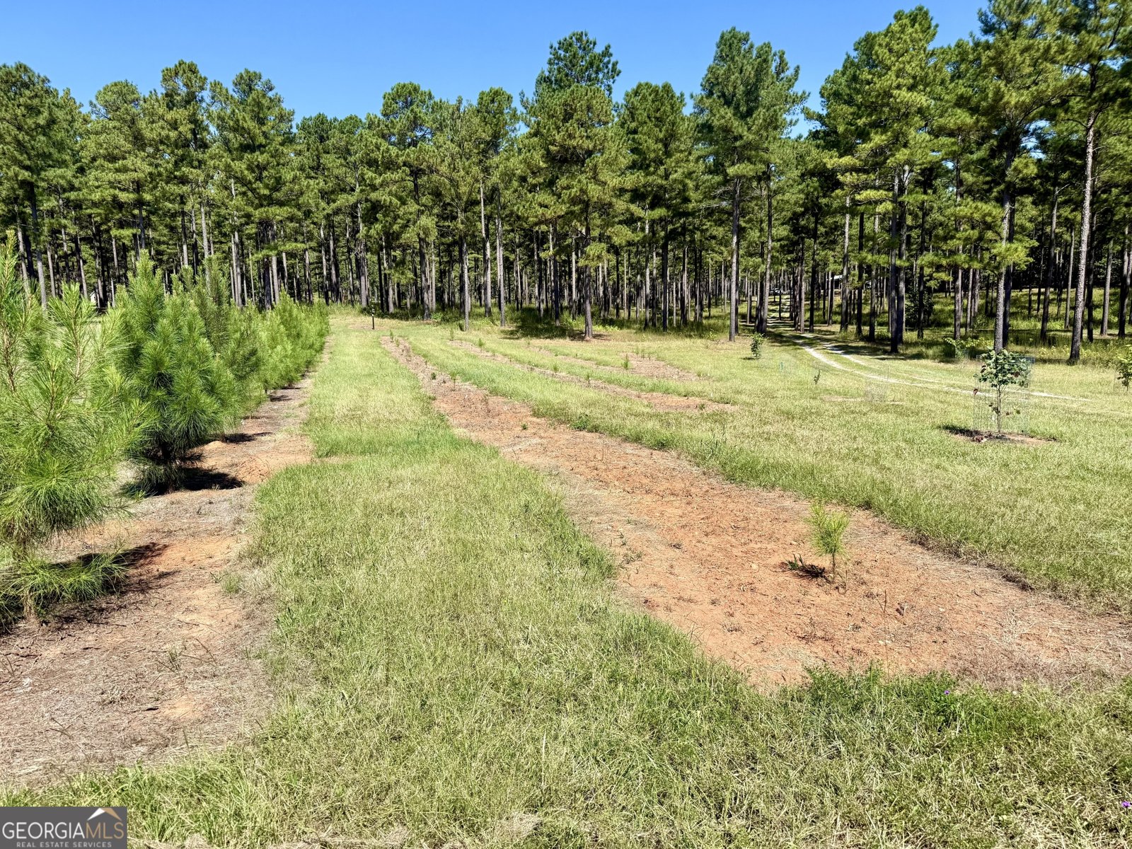 849 Orchard Road Pine Mountain Valley - 59