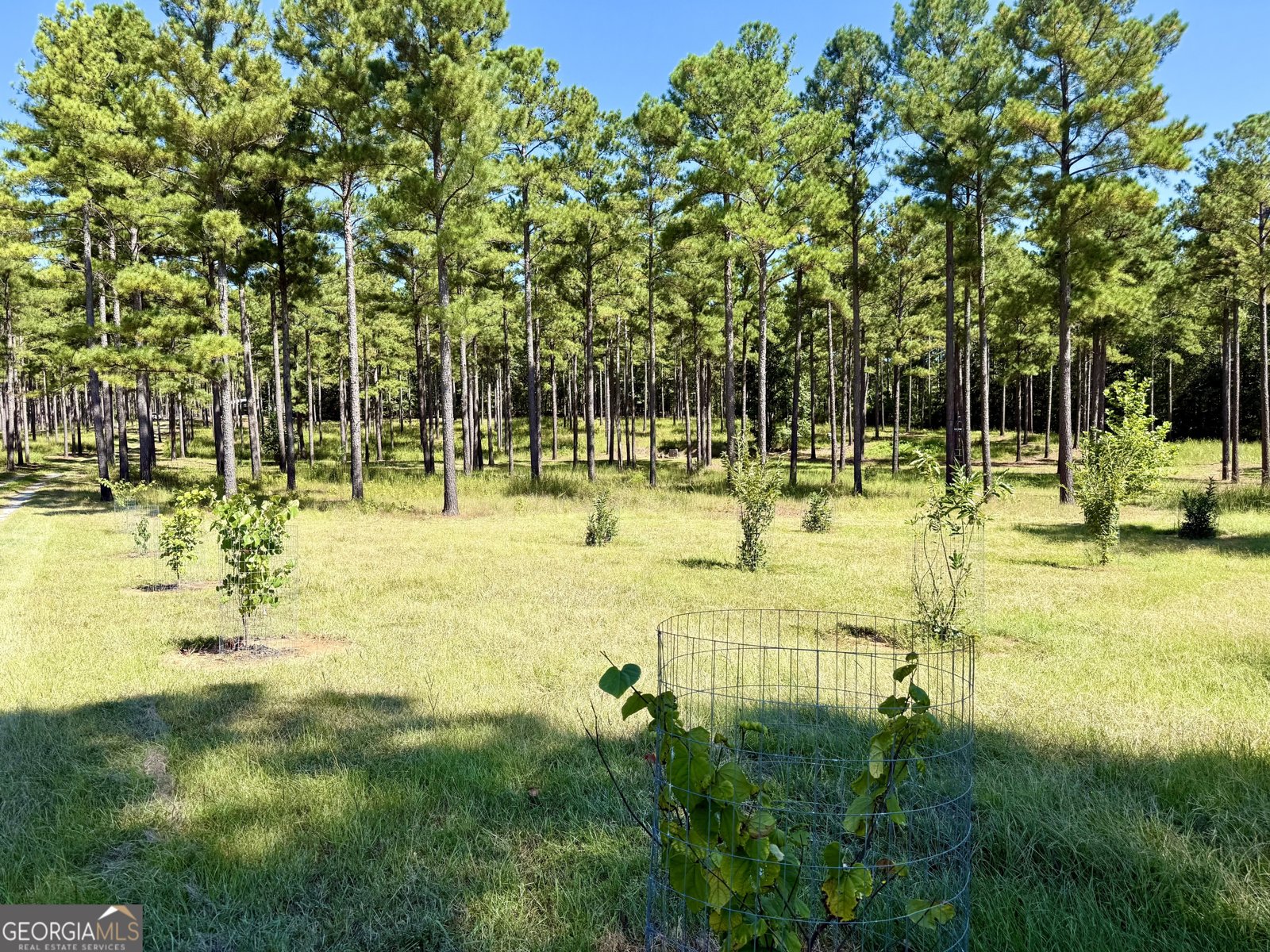 849 Orchard Road Pine Mountain Valley - 60