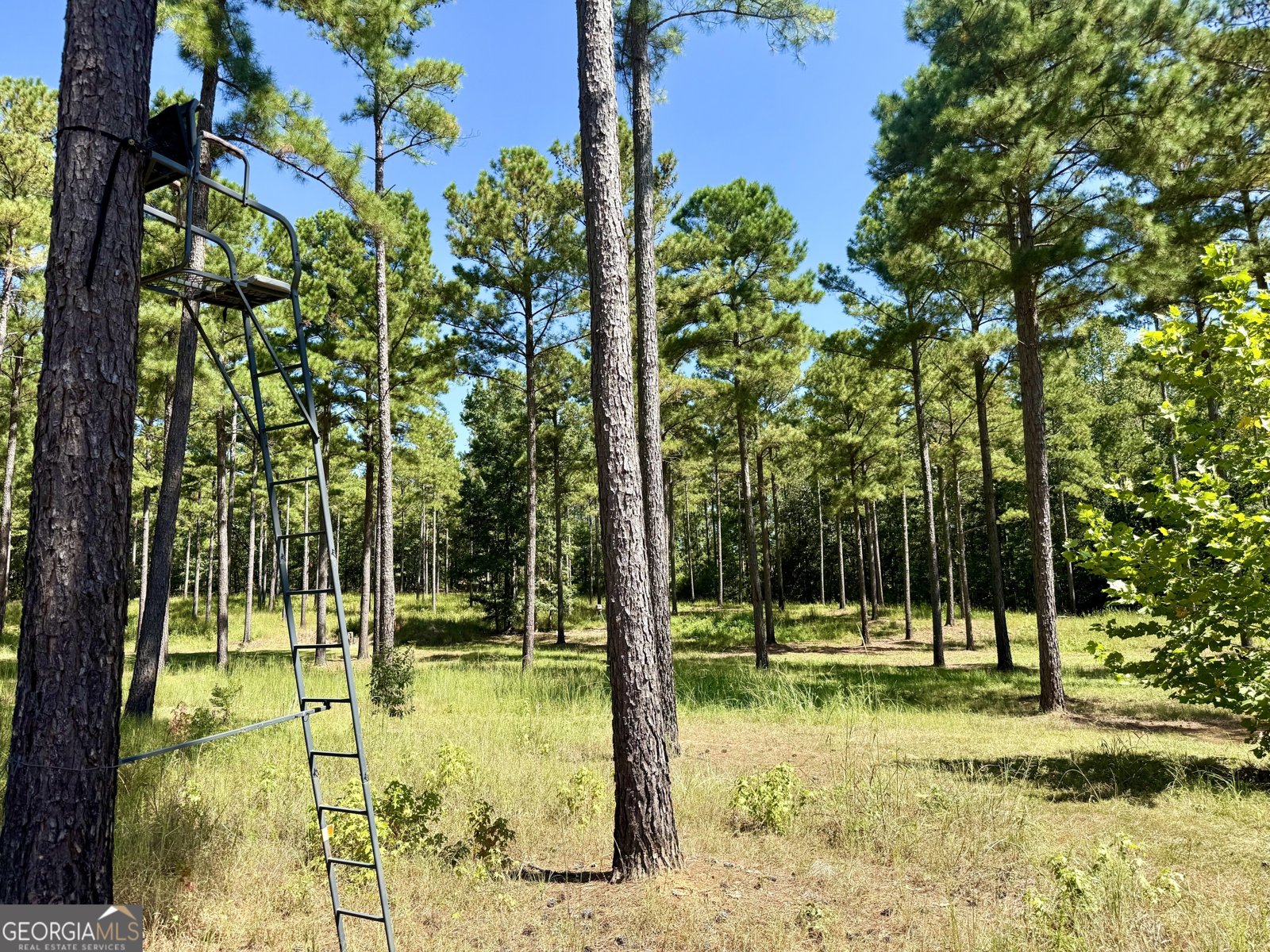 849 Orchard Road Pine Mountain Valley - 61