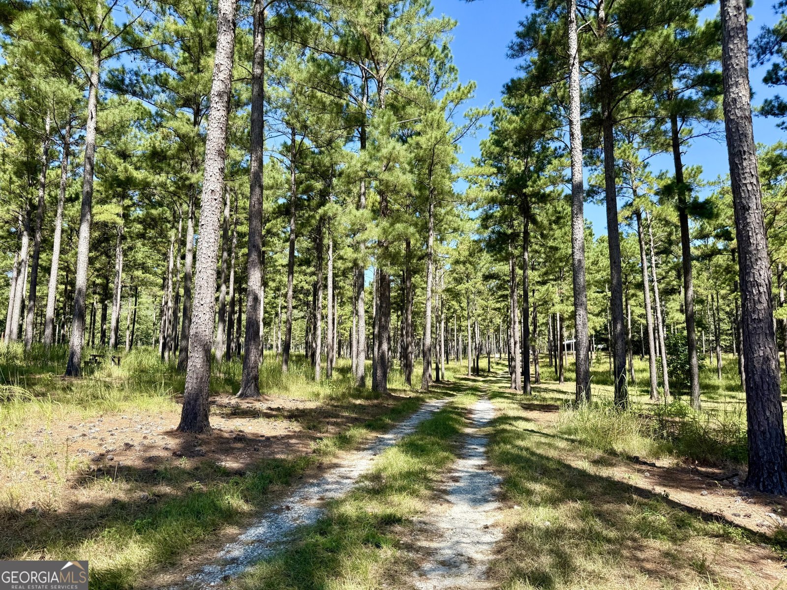 849 Orchard Road Pine Mountain Valley - 62