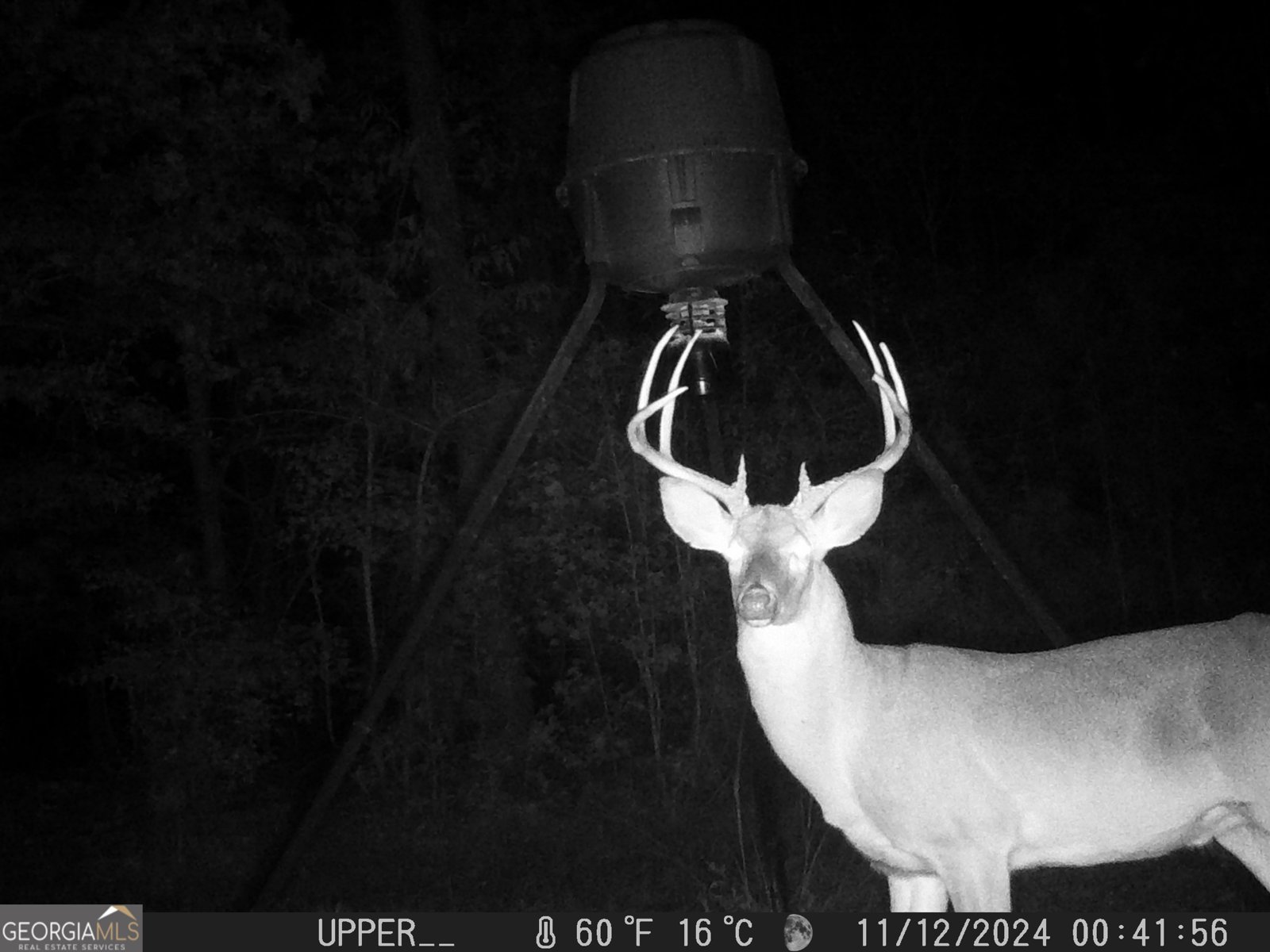 849 Orchard Road Pine Mountain Valley - 73