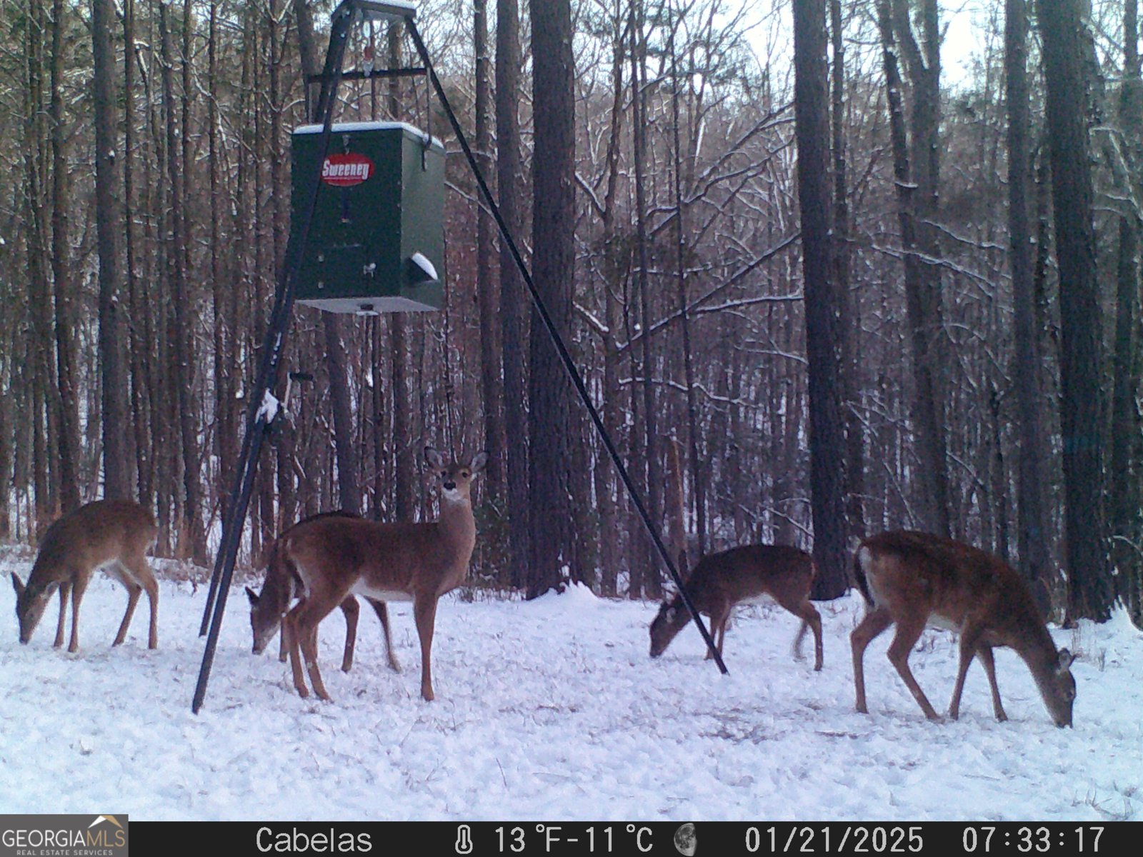 849 Orchard Road Pine Mountain Valley - 74