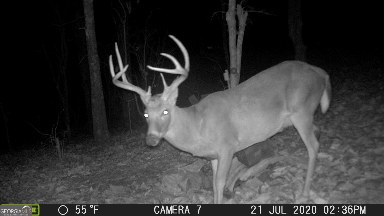 849 Orchard Road Pine Mountain Valley - 76