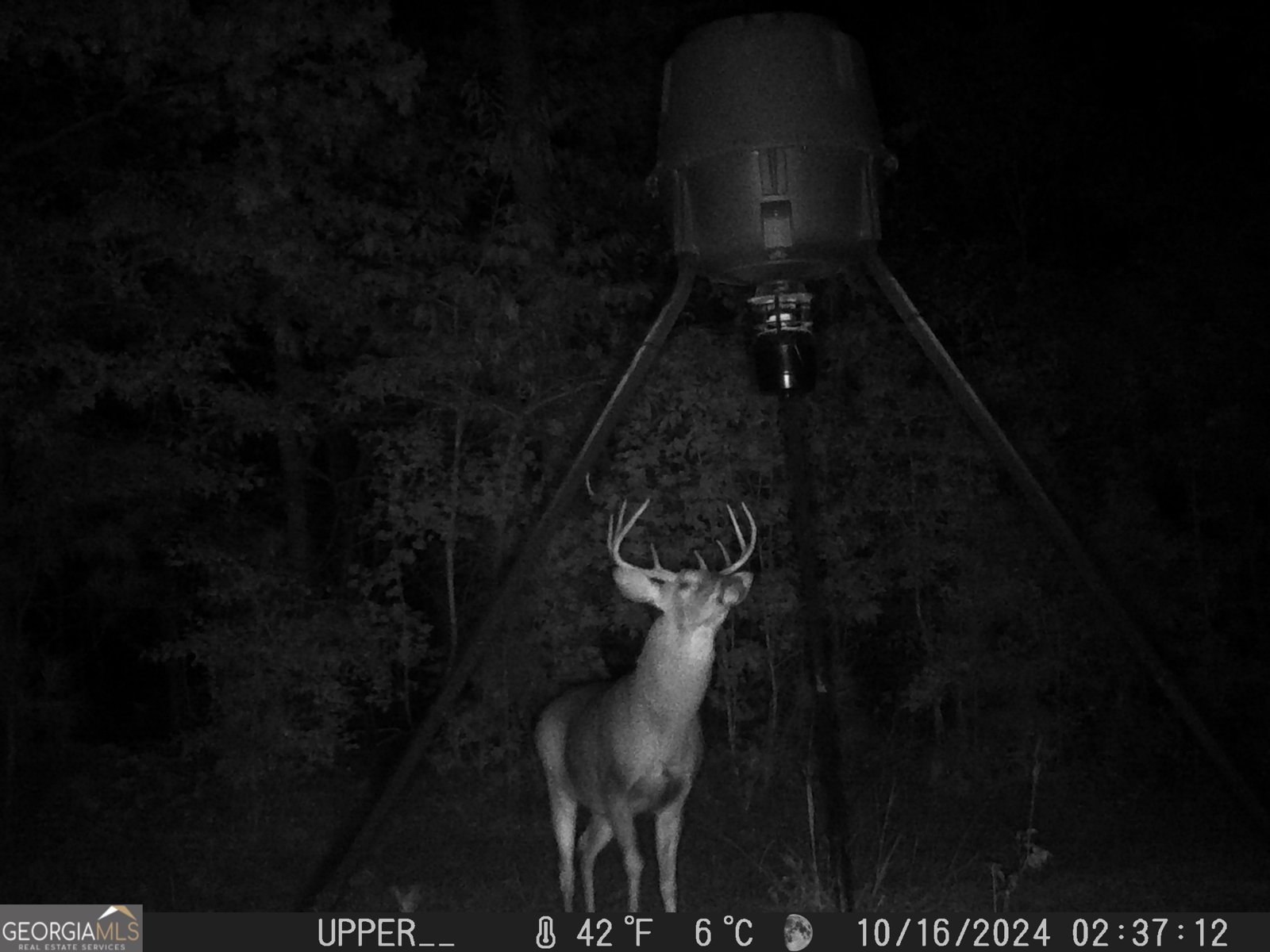 849 Orchard Road Pine Mountain Valley - 77