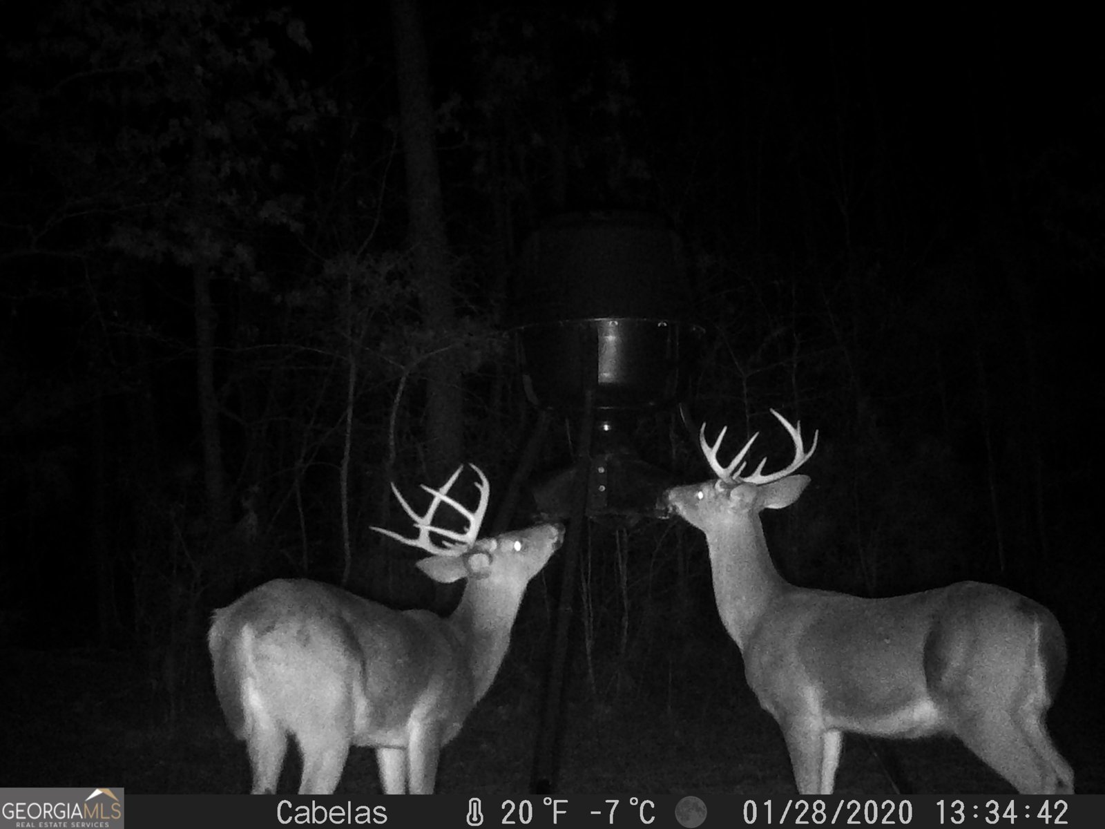 849 Orchard Road Pine Mountain Valley - 78