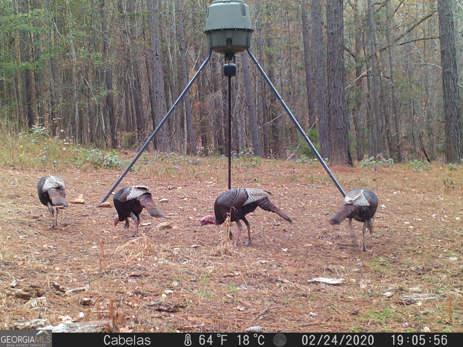 849 Orchard Road Pine Mountain Valley - 79