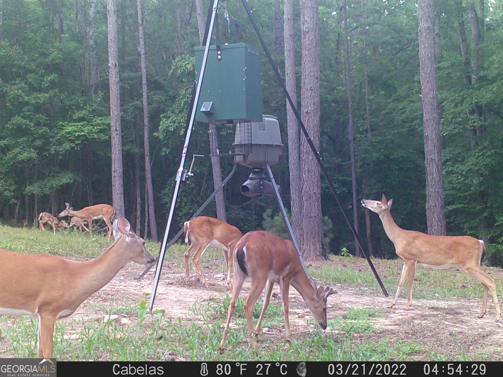 849 Orchard Road Pine Mountain Valley - 80