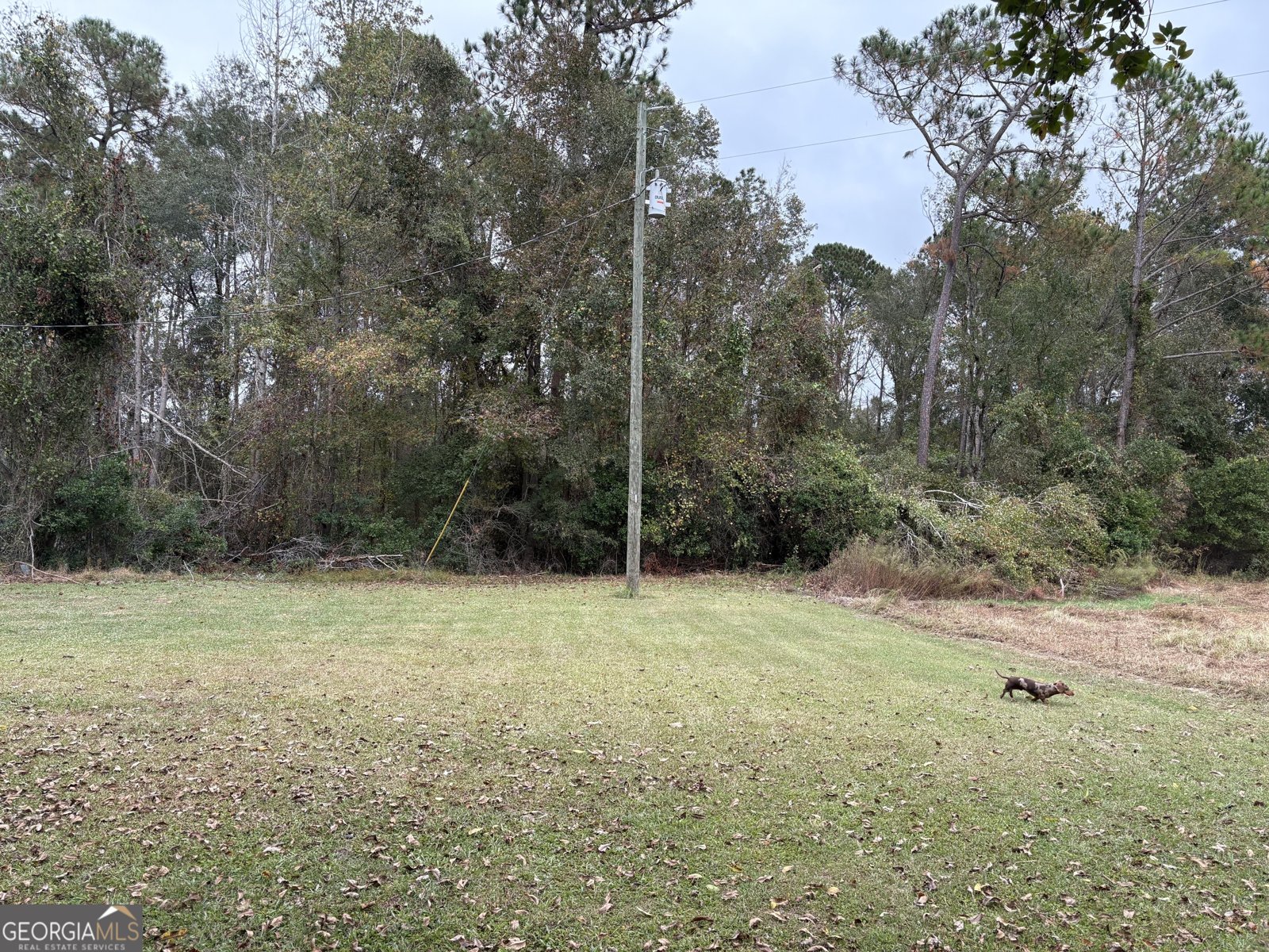 1533 River Road Rhine - 37