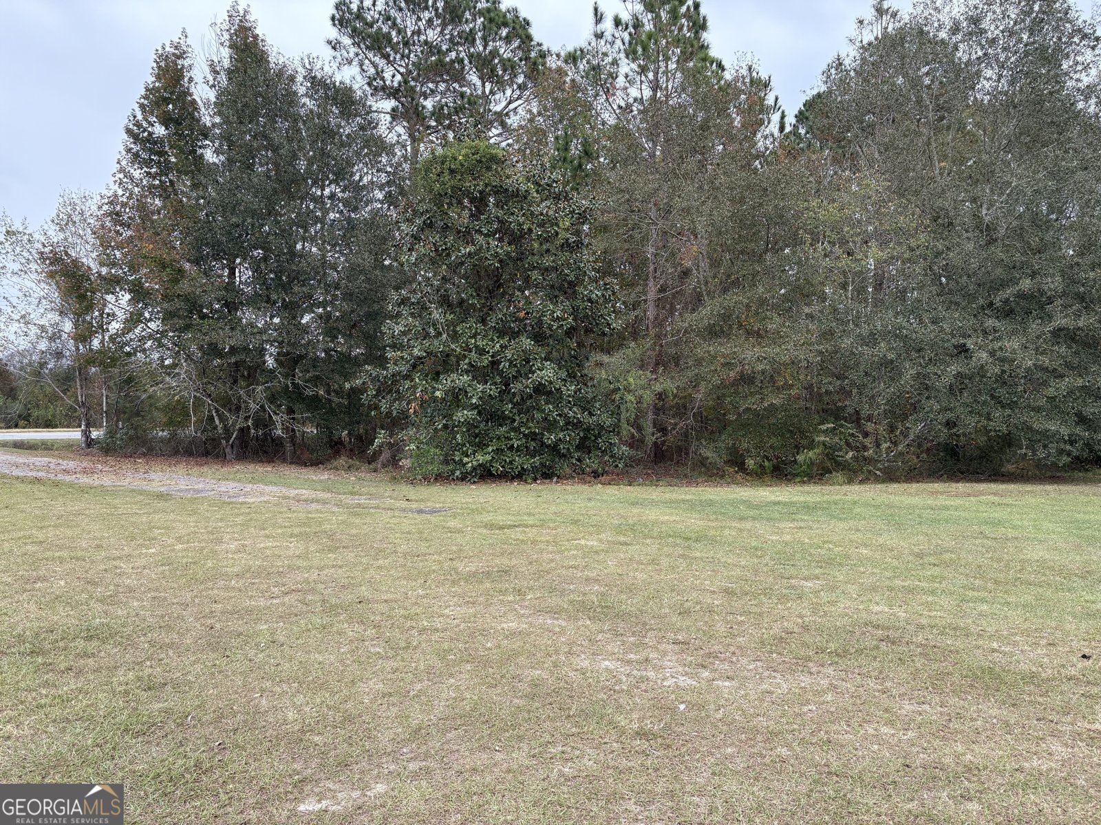 1533 River Road Rhine - 39