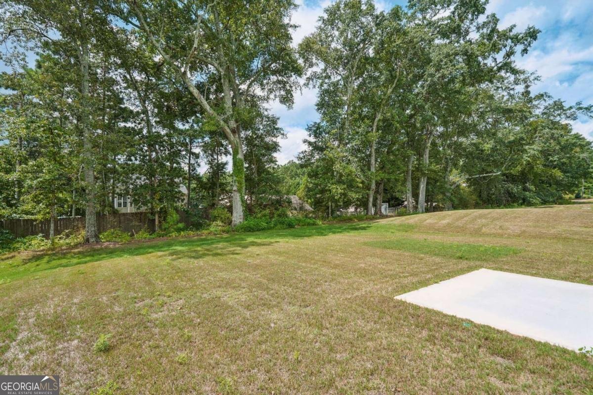 442 Silverleaf Trail Bethlehem - 28