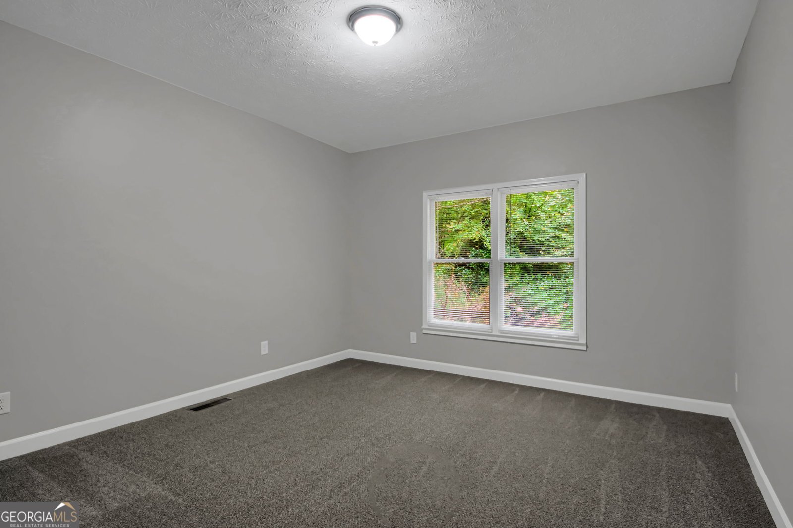 135 LITTLE HAYNES Drive Loganville - 17