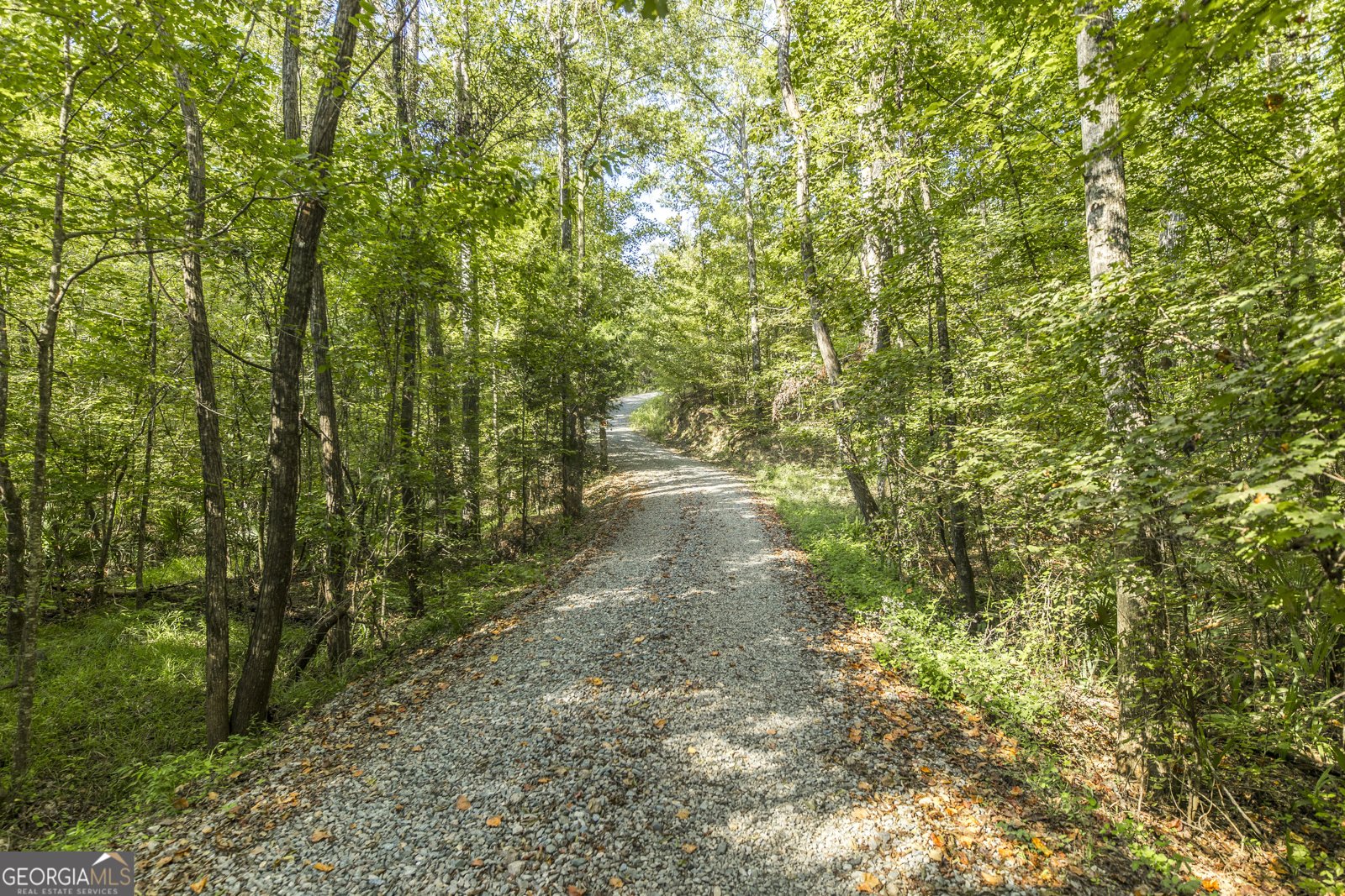 1979 Dent Drive Musella - 50