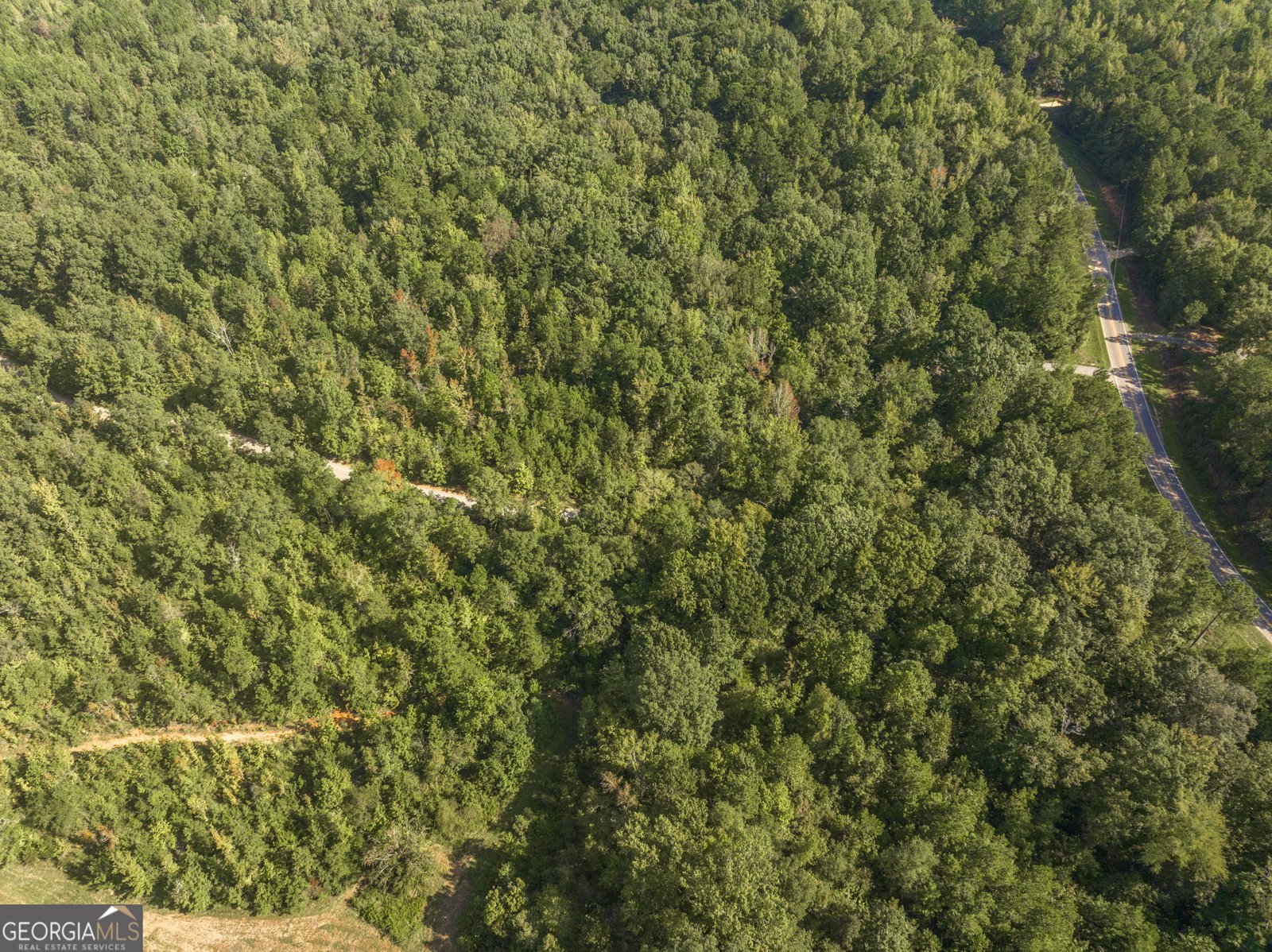 1979 Dent Drive Musella - 74