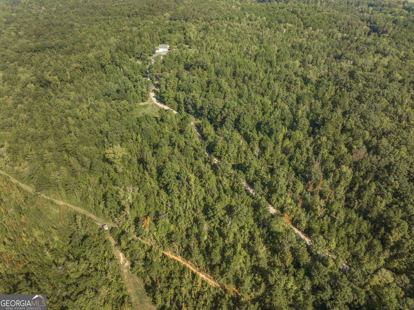 1979 Dent Drive Musella - 75