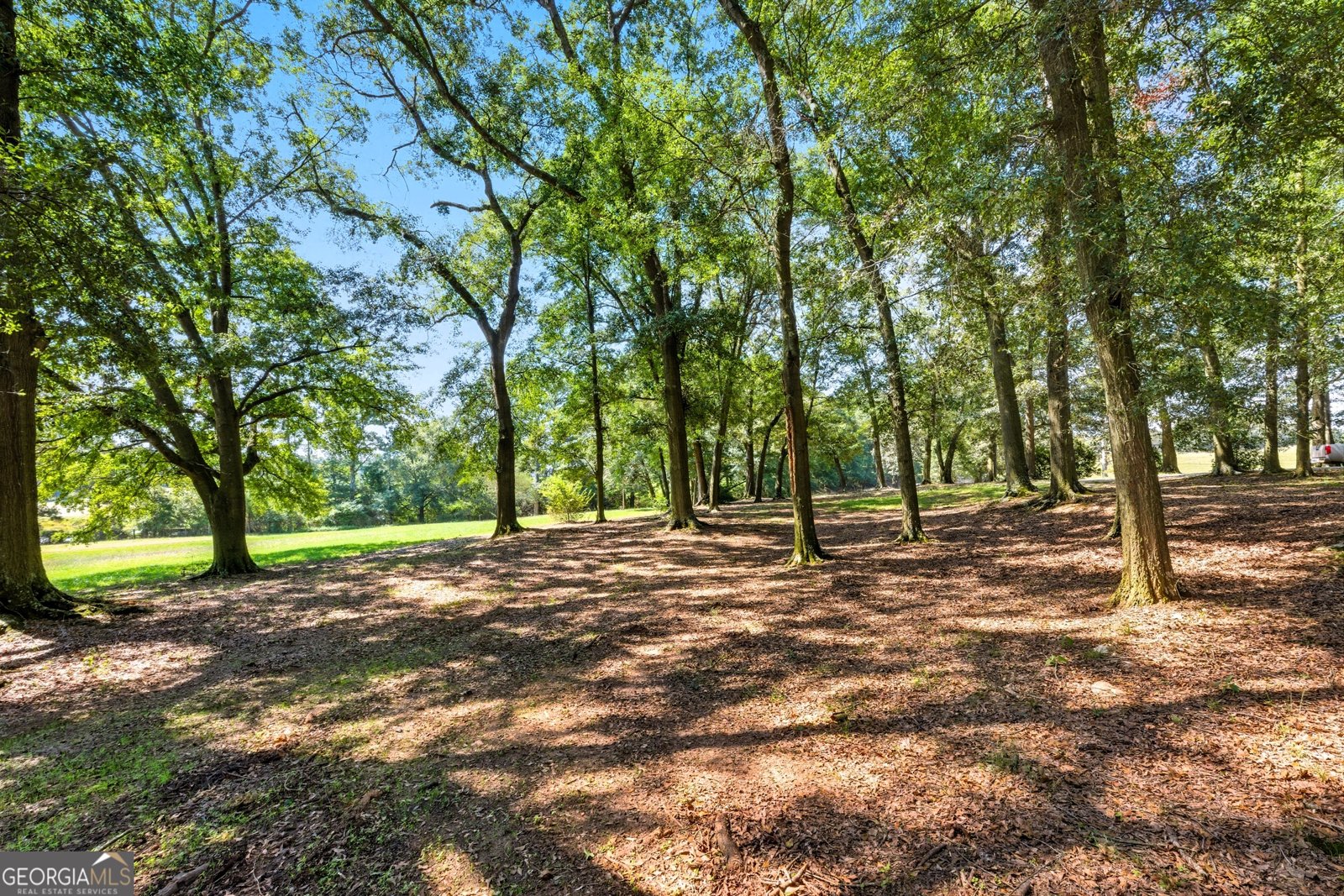 1320 Burroughs Road Lavonia - 20