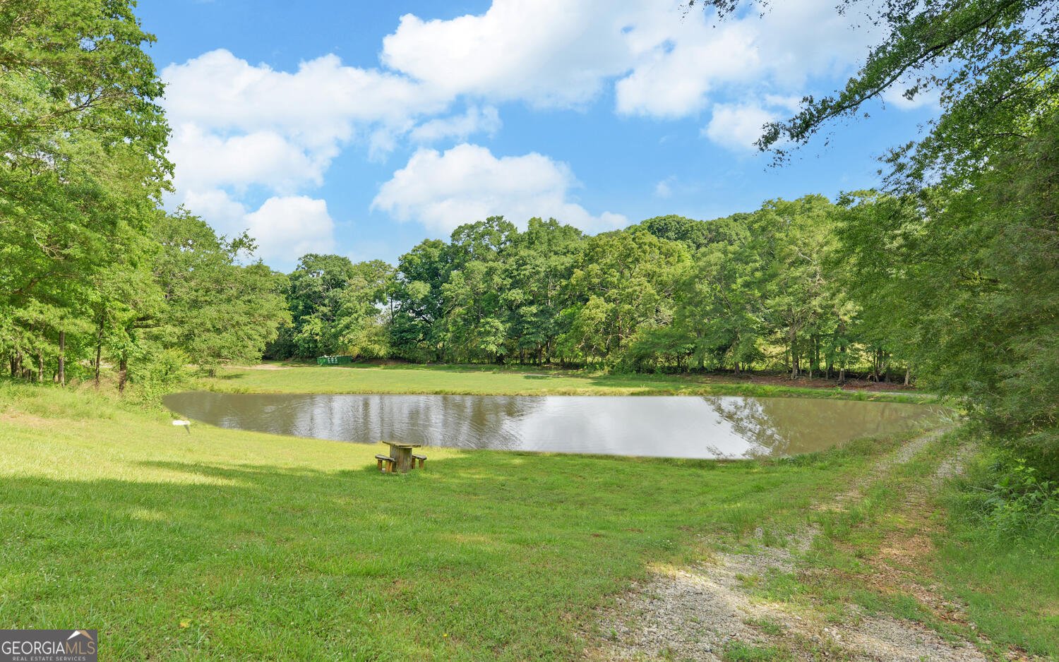 1320 Burroughs Road Lavonia - 29