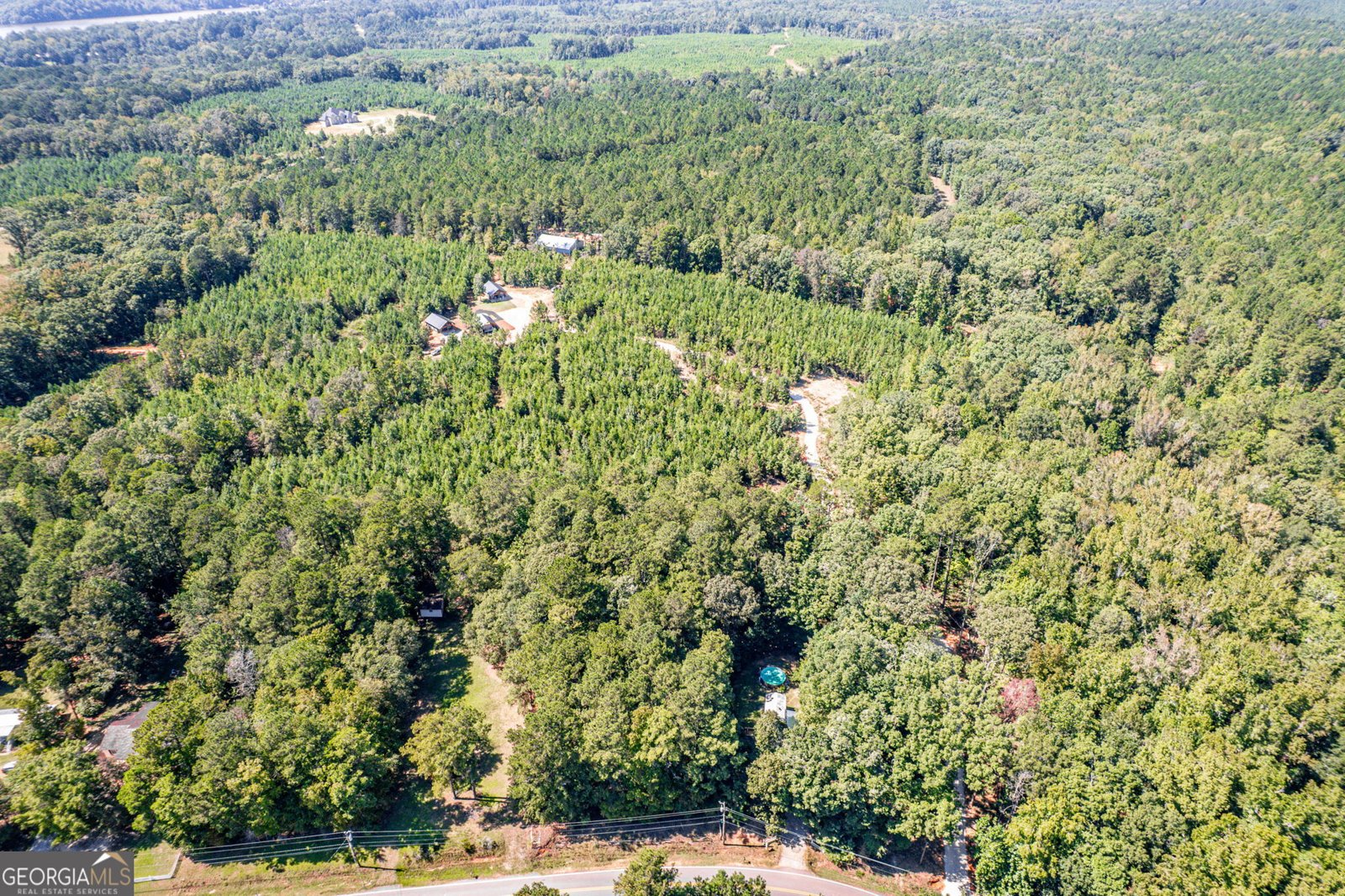 445 AVANT ROAD Bear Creek Road Eatonton - 58