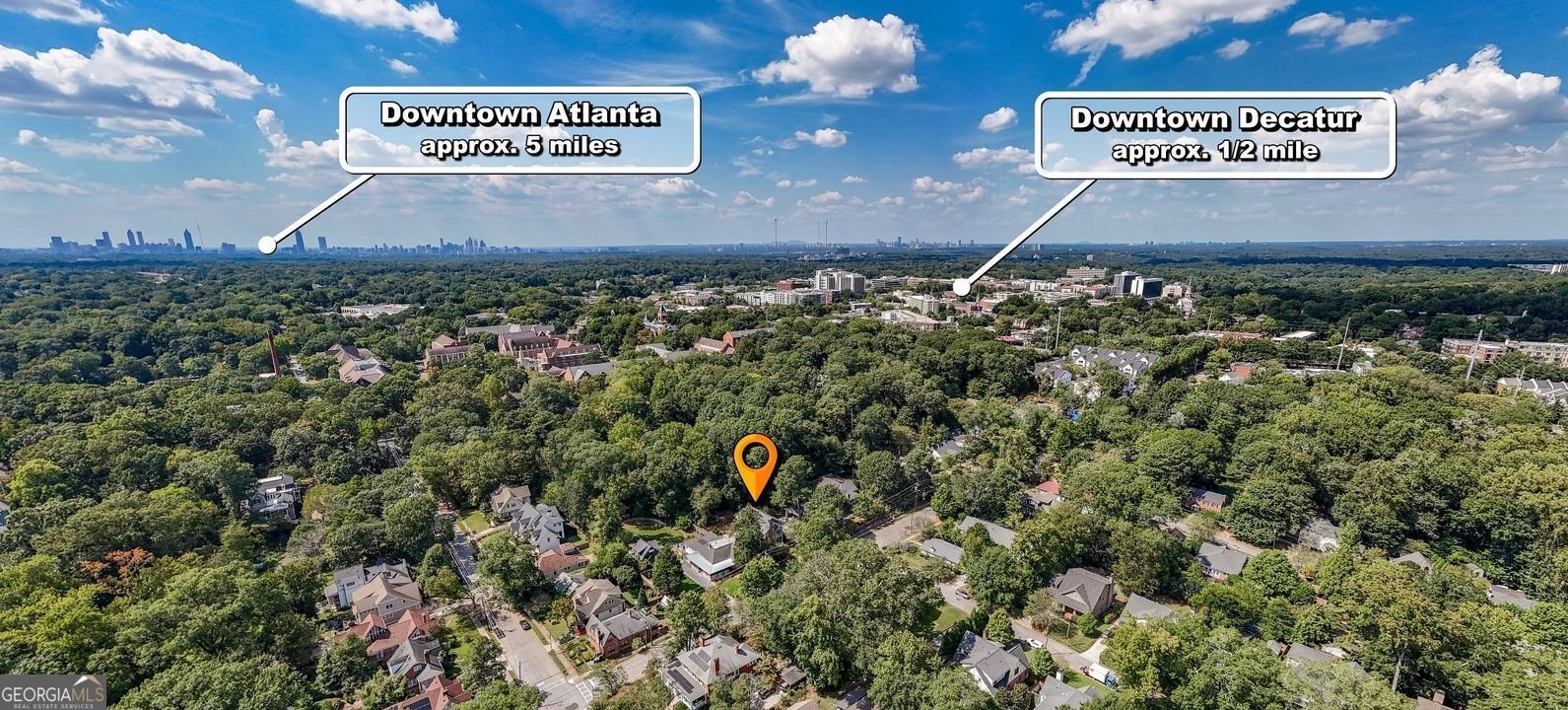 223 AVERY Street Decatur - 69