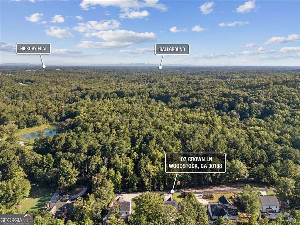 107 Crown Lane Woodstock - 9