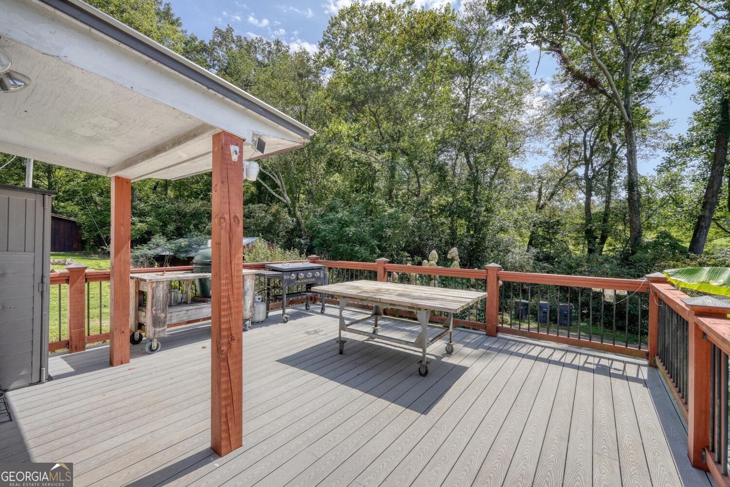 729 Collins Road Blairsville - 25