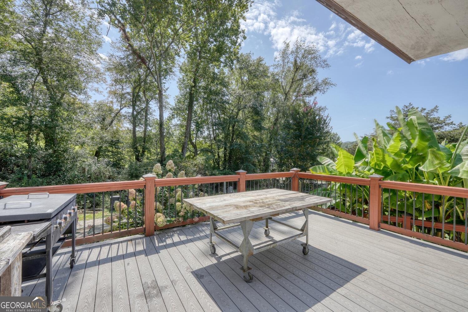 729 Collins Road Blairsville - 26