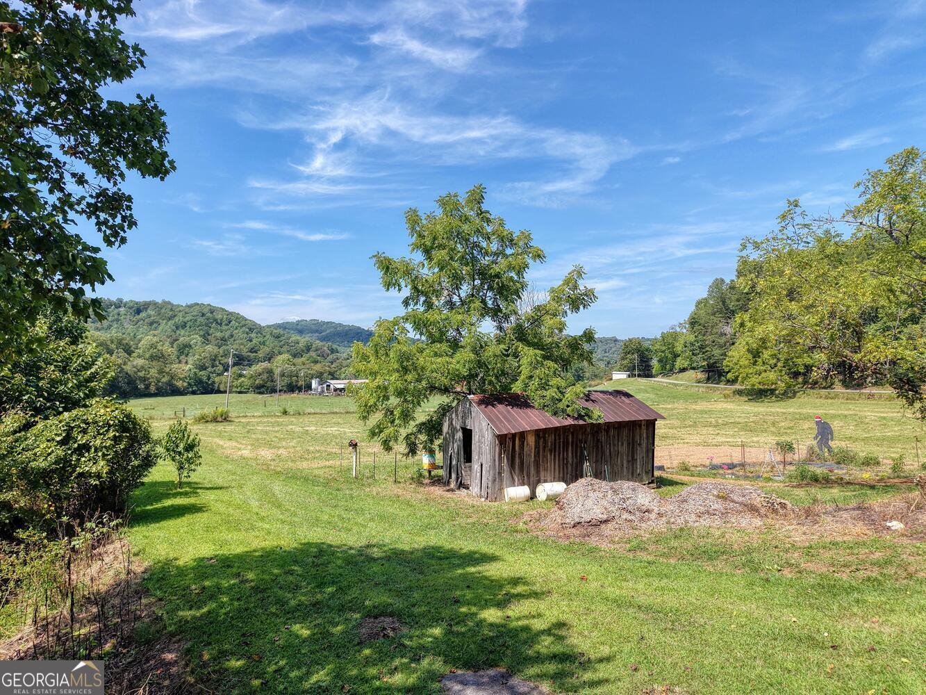 729 Collins Road Blairsville - 35
