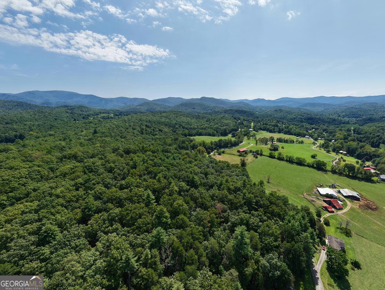 729 Collins Road Blairsville - 38