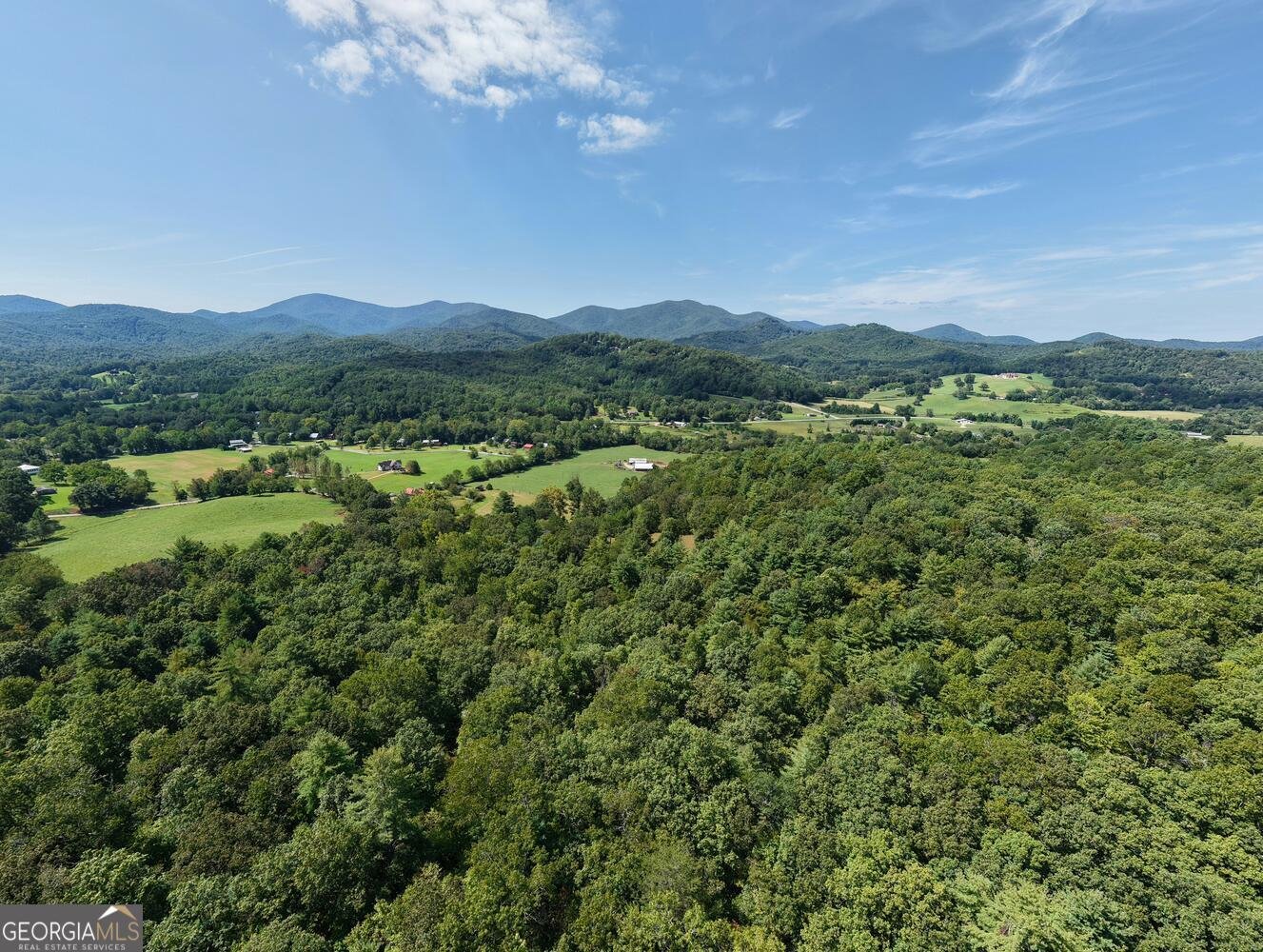 729 Collins Road Blairsville - 42