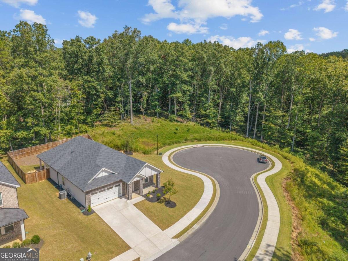 181 Long Leaf Street Dawsonville - 22