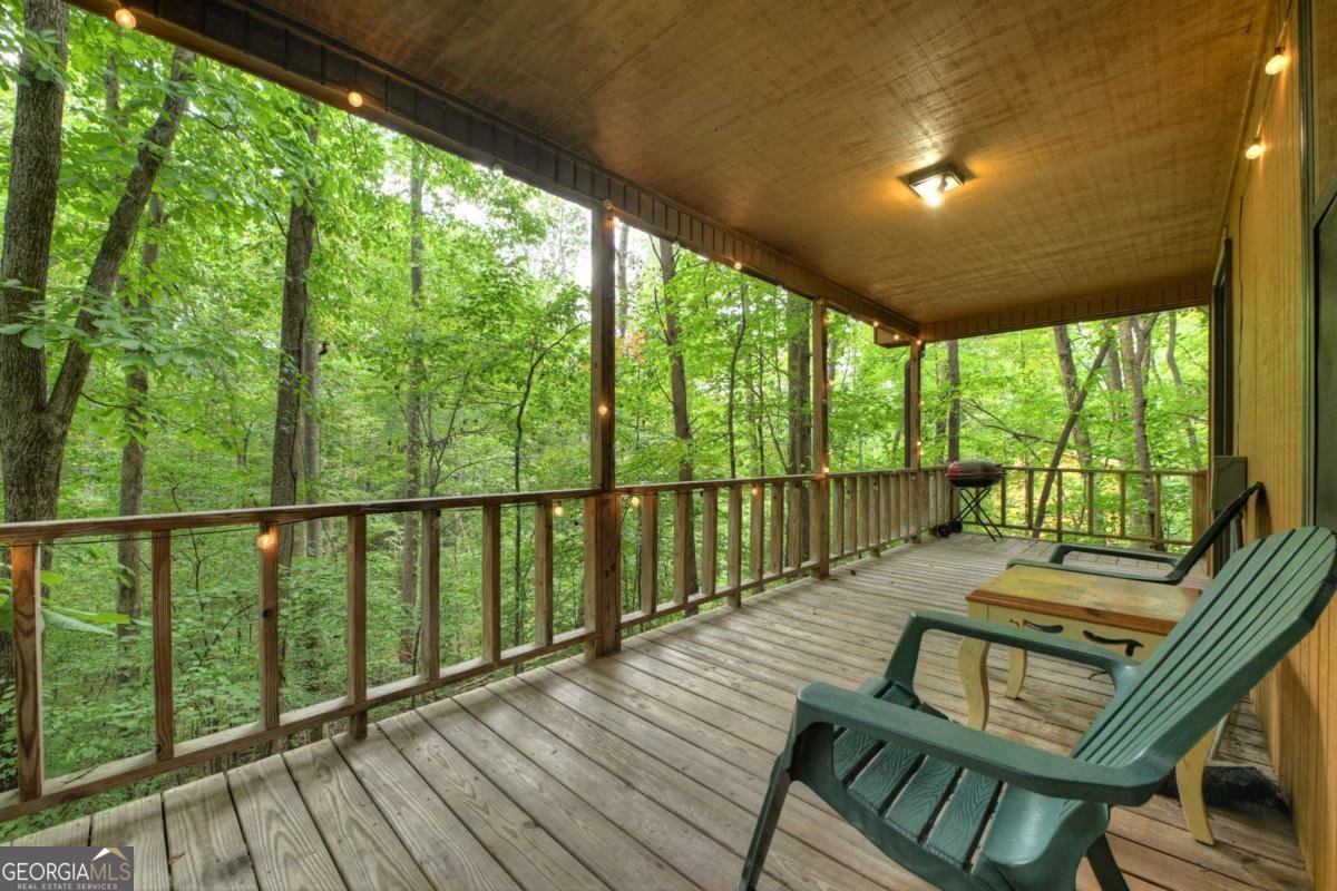 77 Alpine Way Blairsville - 28