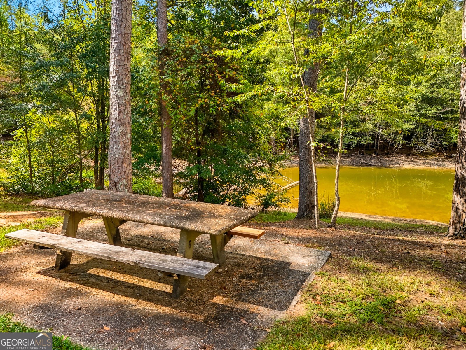 2628 Pinebrook Drive Gainesville - 24