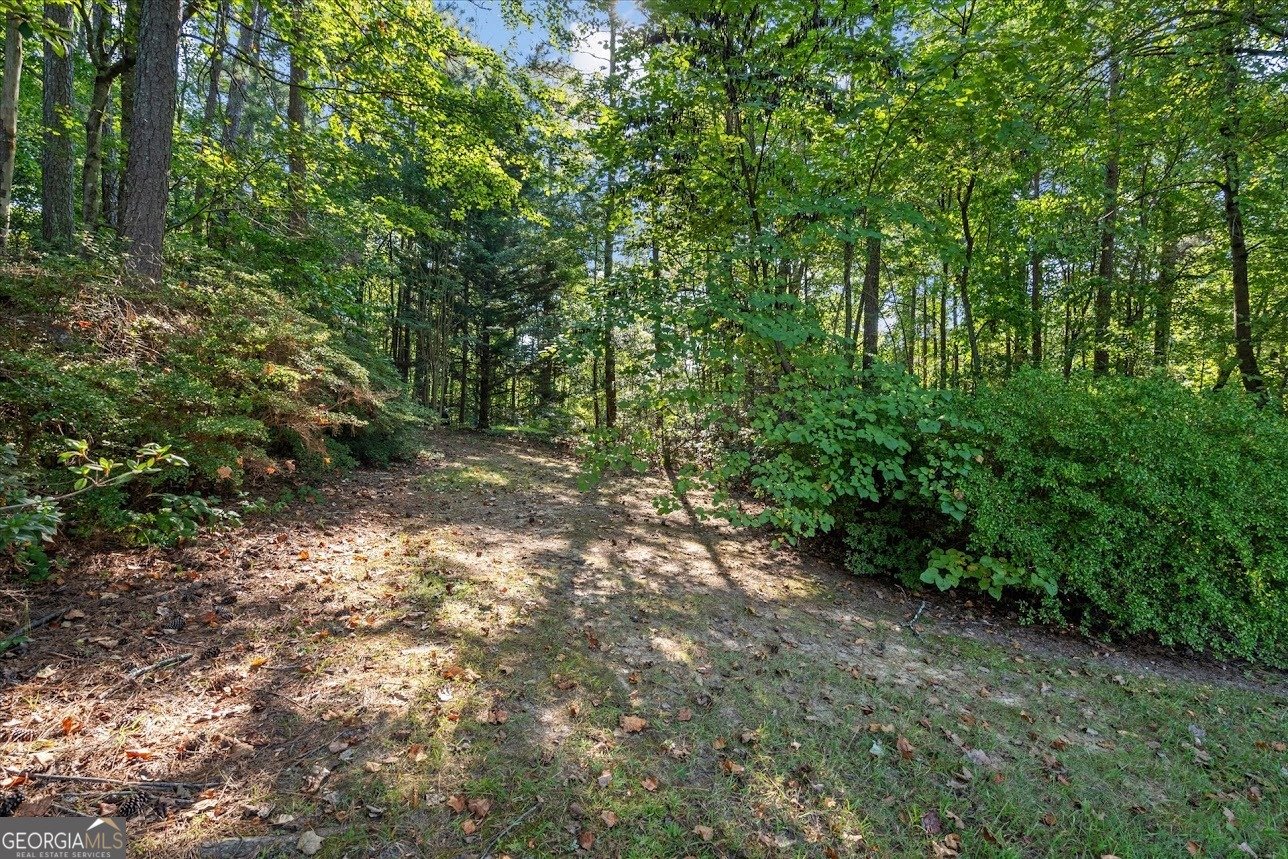 164 Oak Mountain Parkway Carrollton - 42