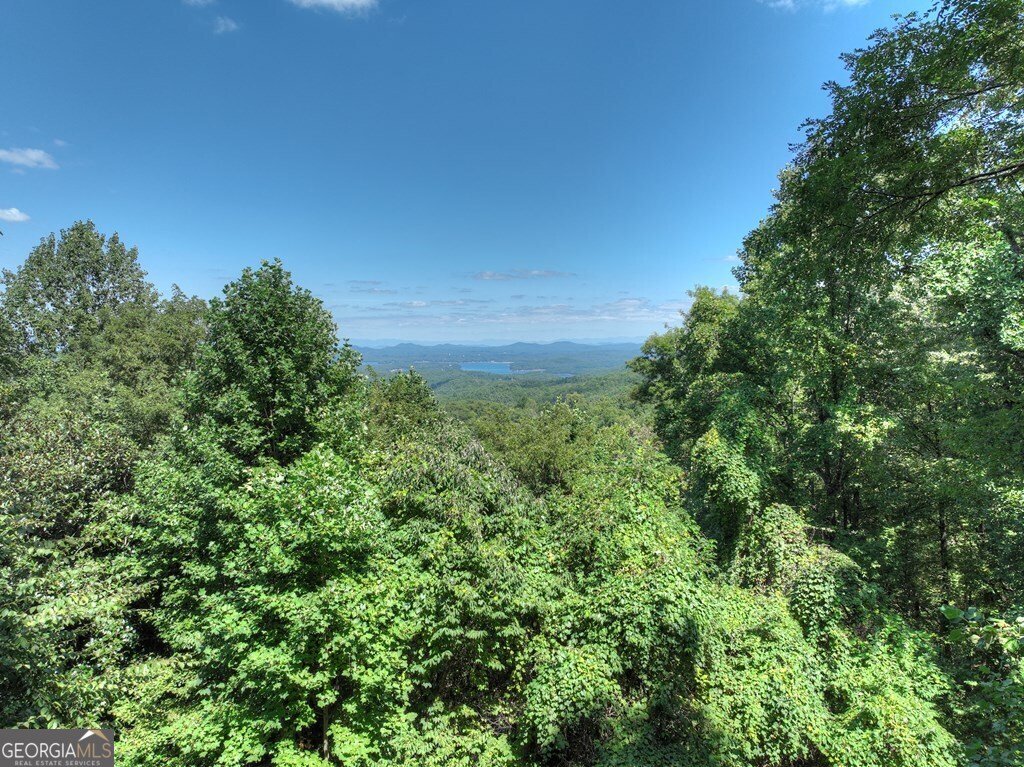 304 Ridge Circle Blue Ridge - 38