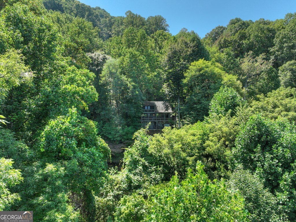 304 Ridge Circle Blue Ridge - 41