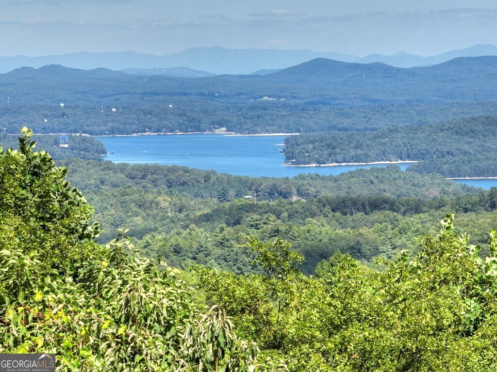 304 Ridge Circle Blue Ridge - 45