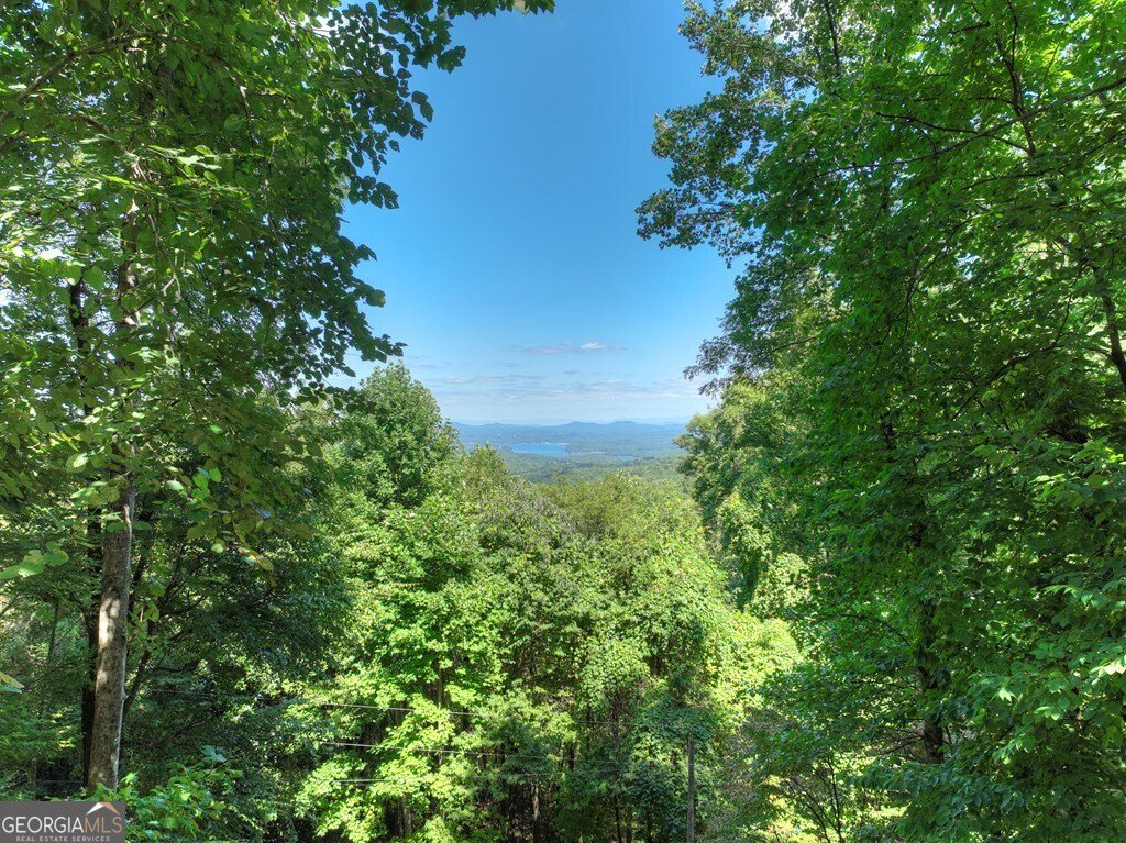 304 Ridge Circle Blue Ridge - 48