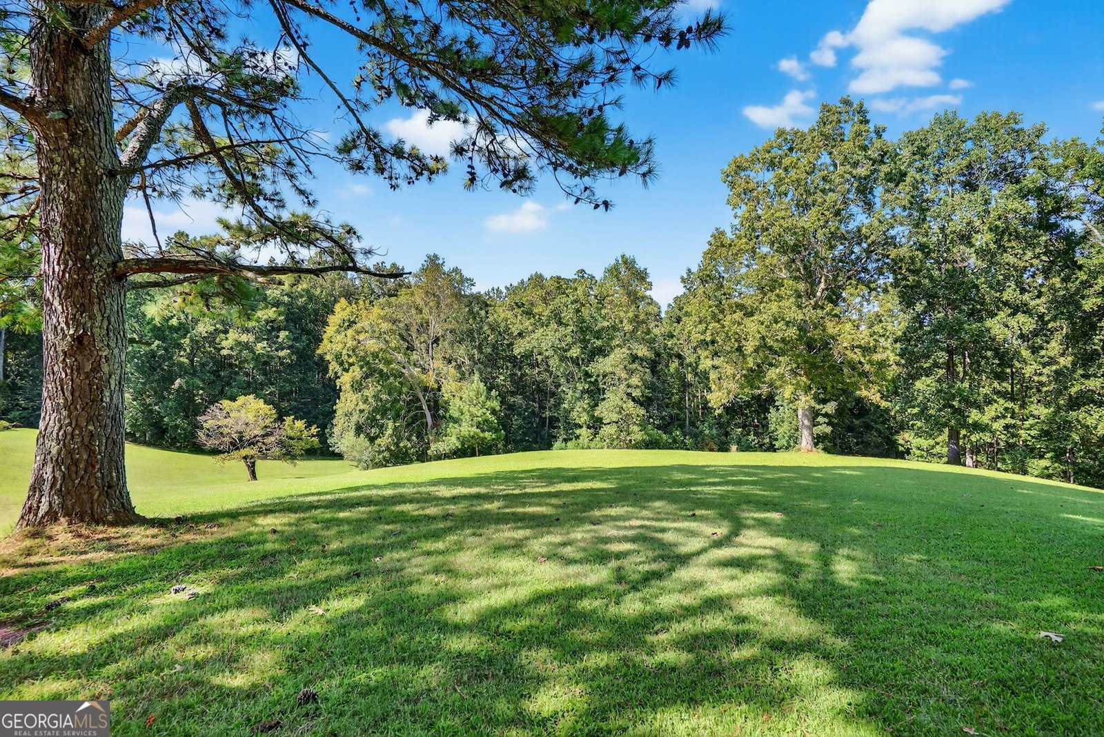 4621 Stanley Road Flowery Branch - 15