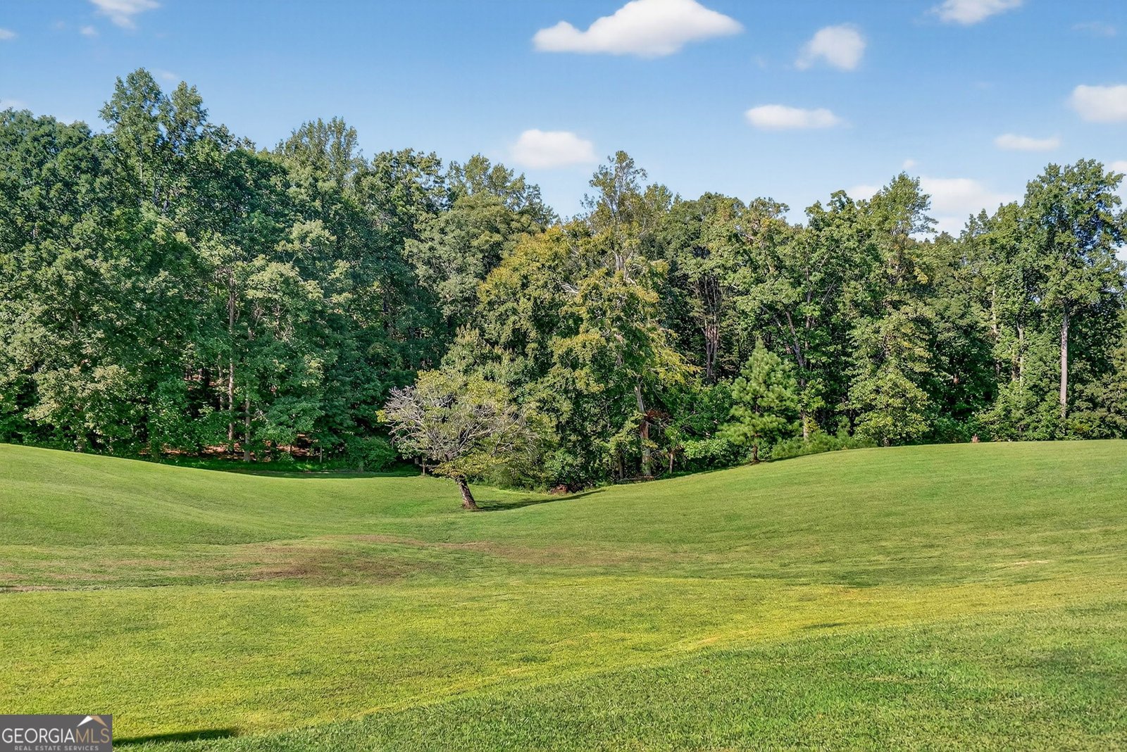 4621 Stanley Road Flowery Branch - 16