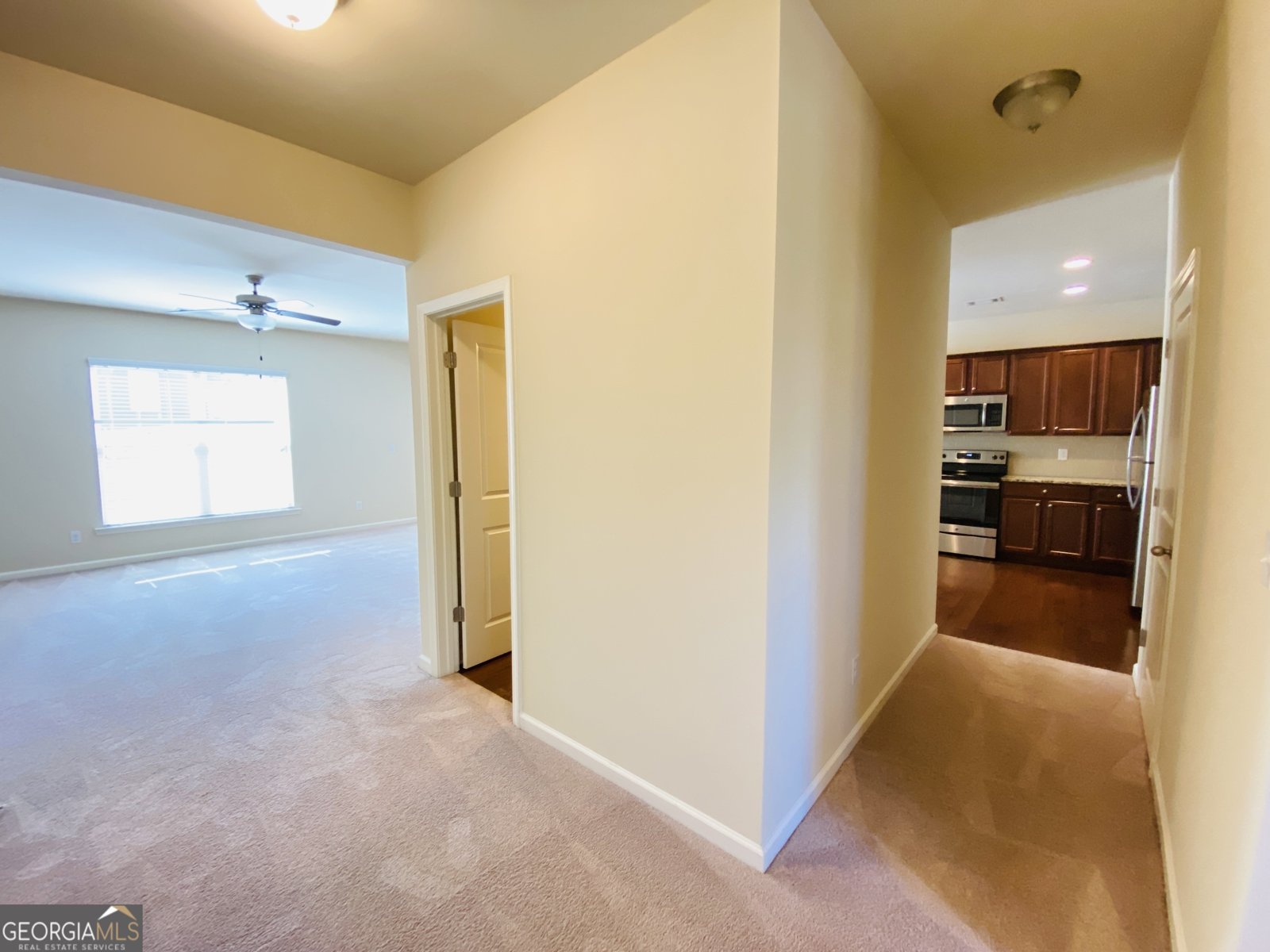 1509 Charcoal Ives Road Lawrenceville - 14